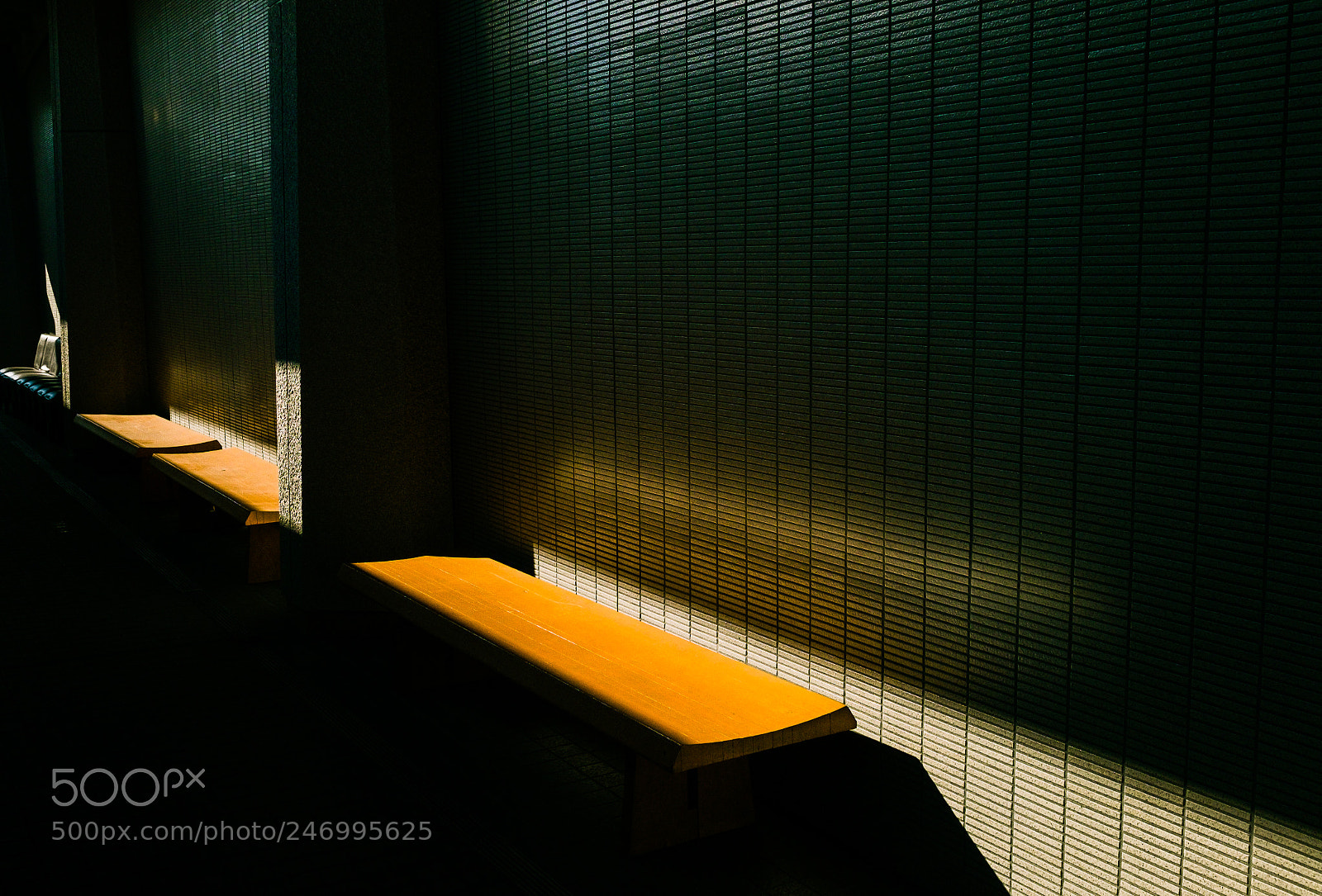 Fujifilm X-T10 sample photo. Untitled photography
