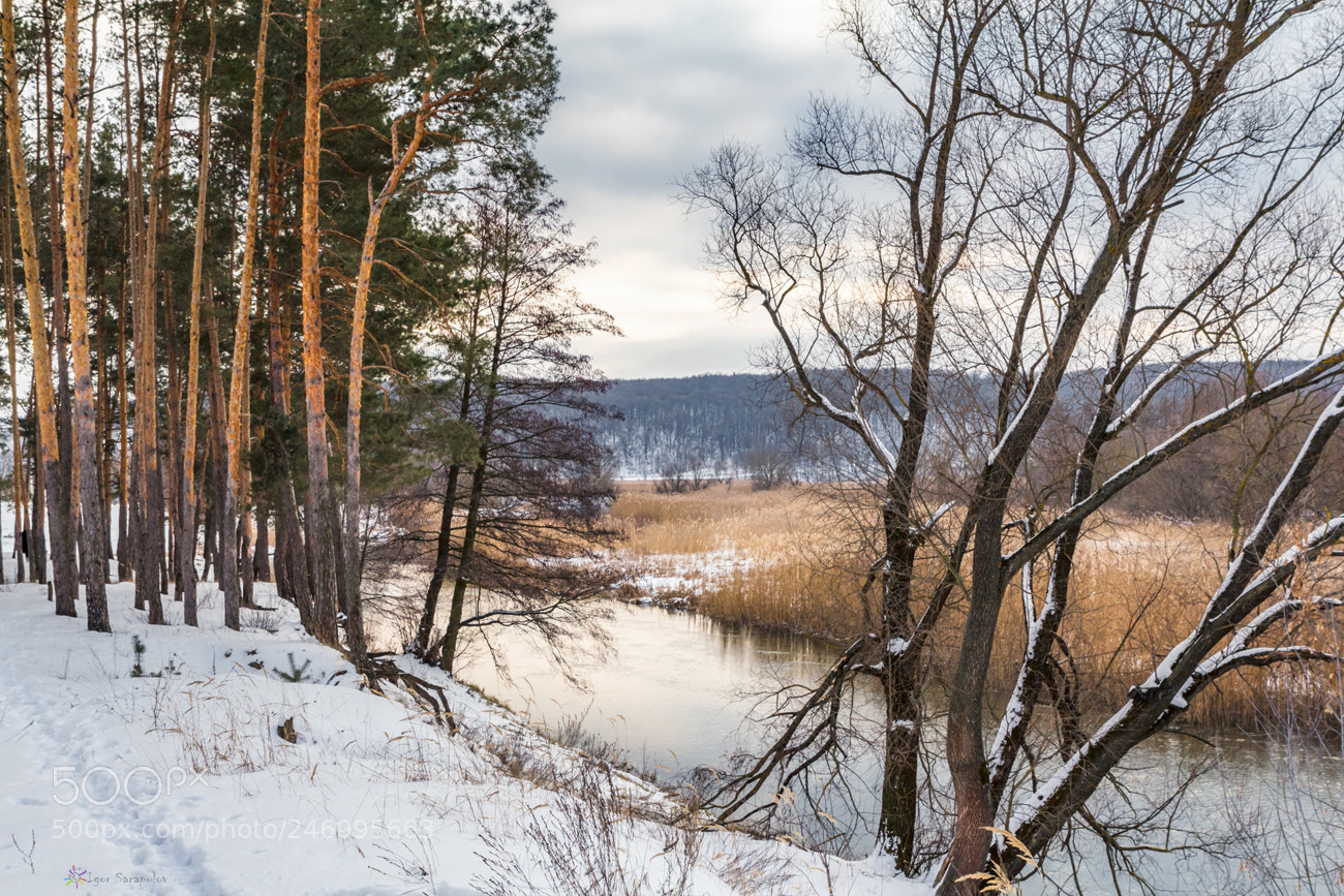 Canon EOS 60D sample photo. Winter time photography