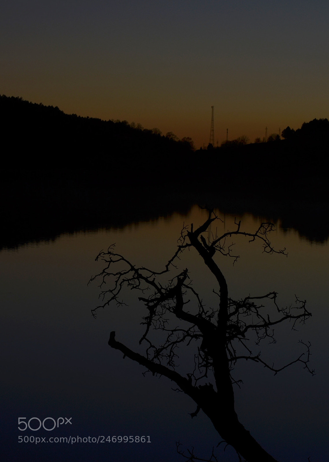 Nikon D5100 sample photo. Untitled photography