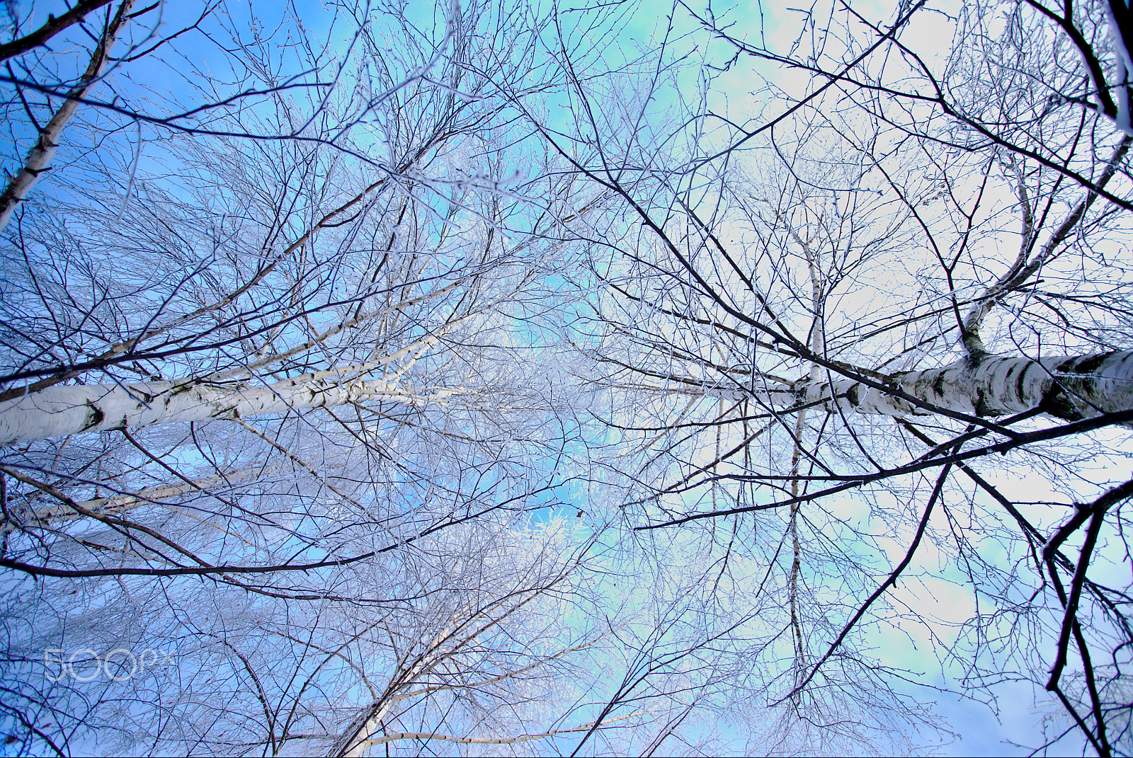 Canon EF 17-40mm F4L USM sample photo. Meeting under the sky photography