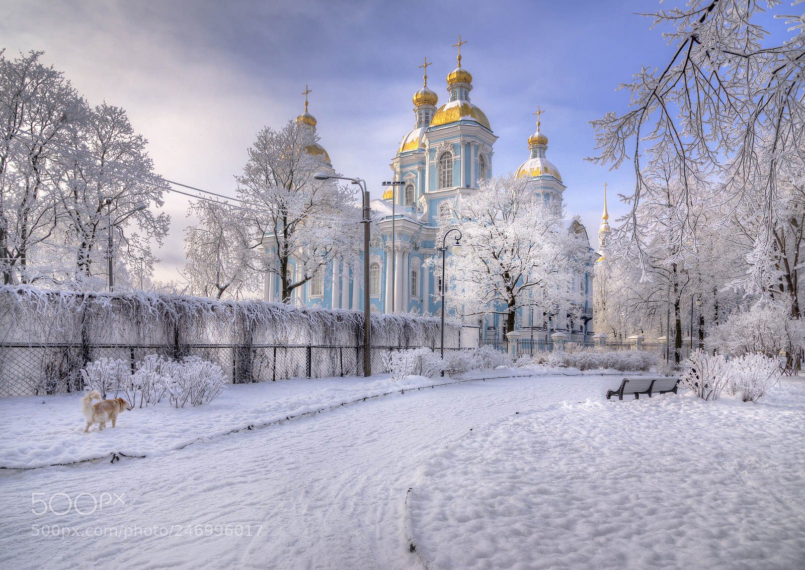 Nikon D610 sample photo. Никольский собор photography