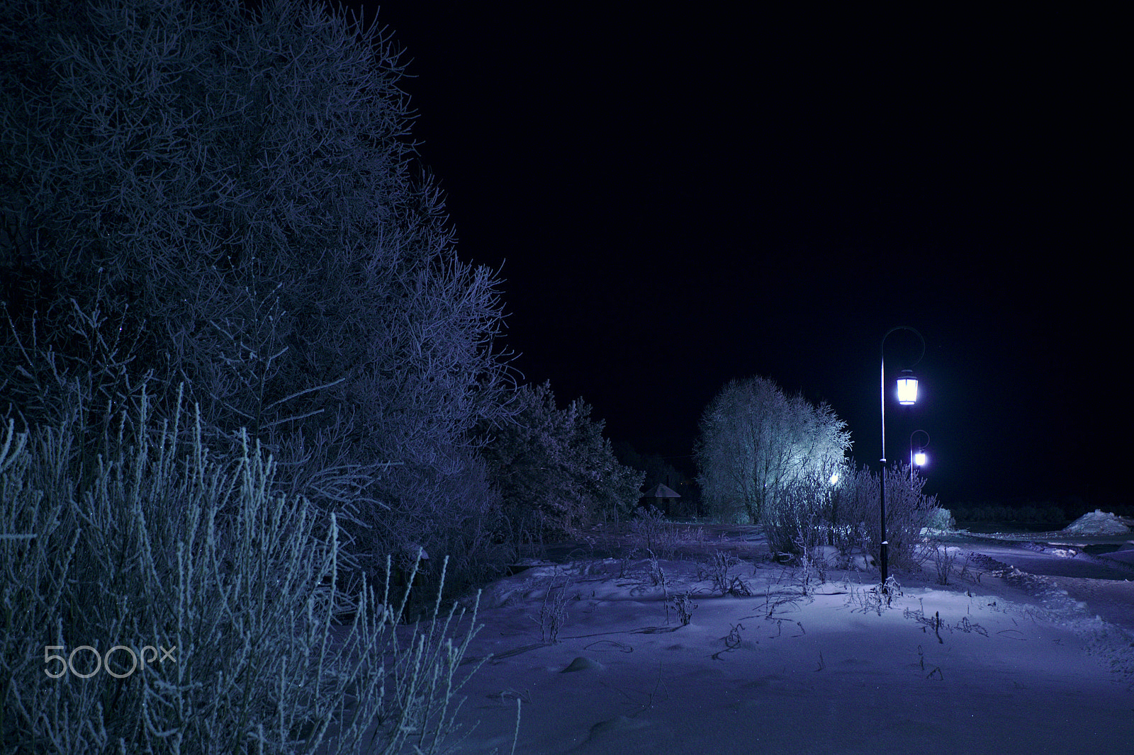 Canon EOS 6D Mark II sample photo. The romance of the frosty nights photography