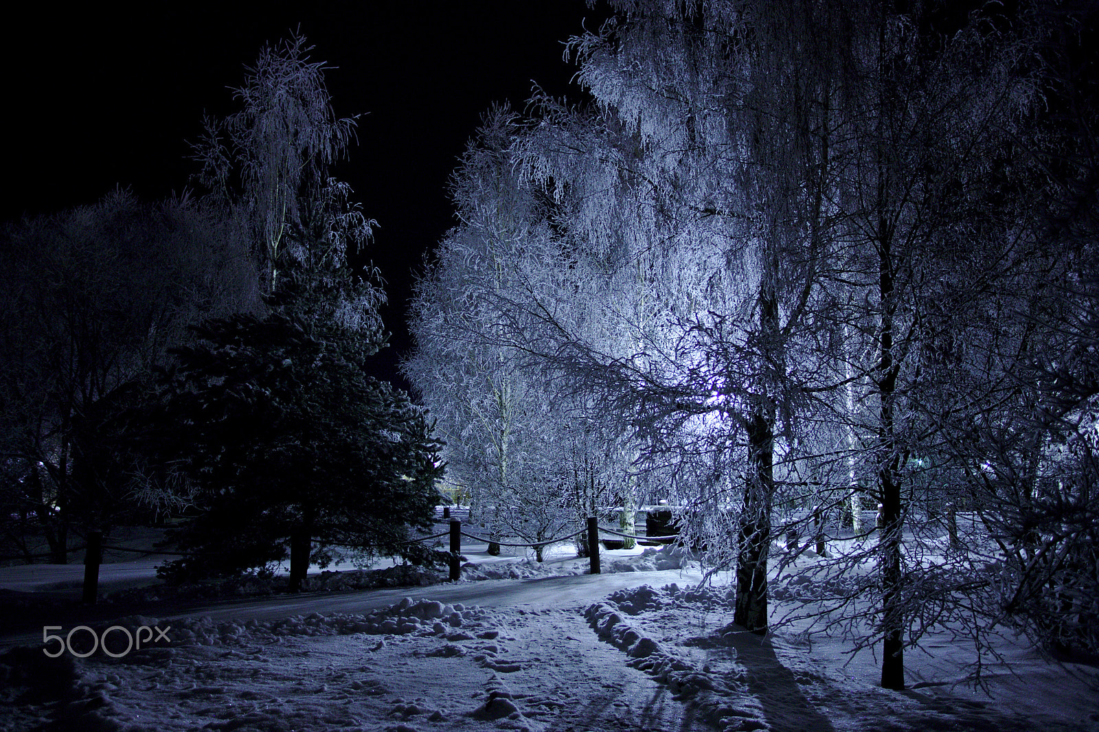 Canon EF 17-40mm F4L USM sample photo. Night. three o'clock. minus 18 photography
