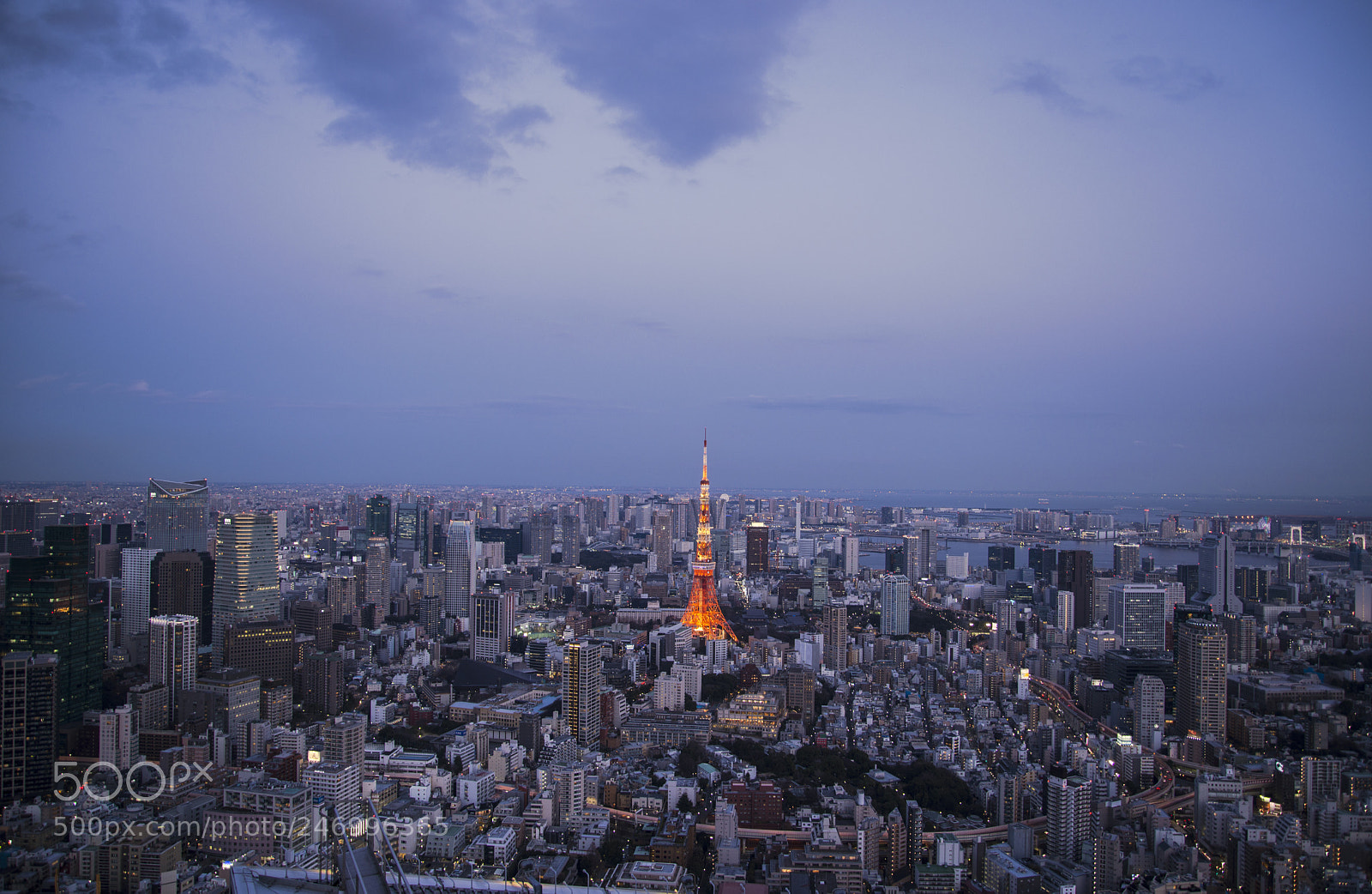 Nikon D610 sample photo. Tokyo dream photography