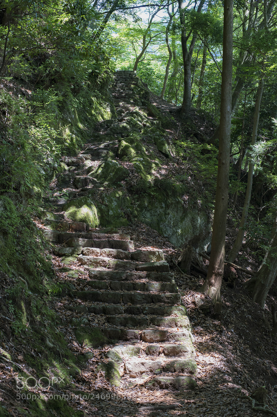 Nikon D800 sample photo. Shrine stairs photography