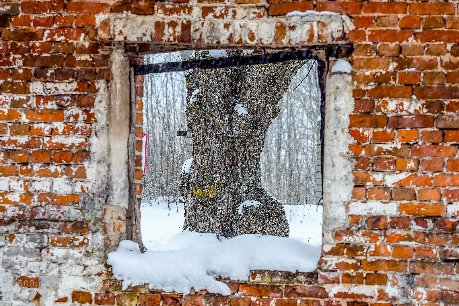 Olympus OM-D E-M1 Mark II sample photo. Winter in lithuania photography