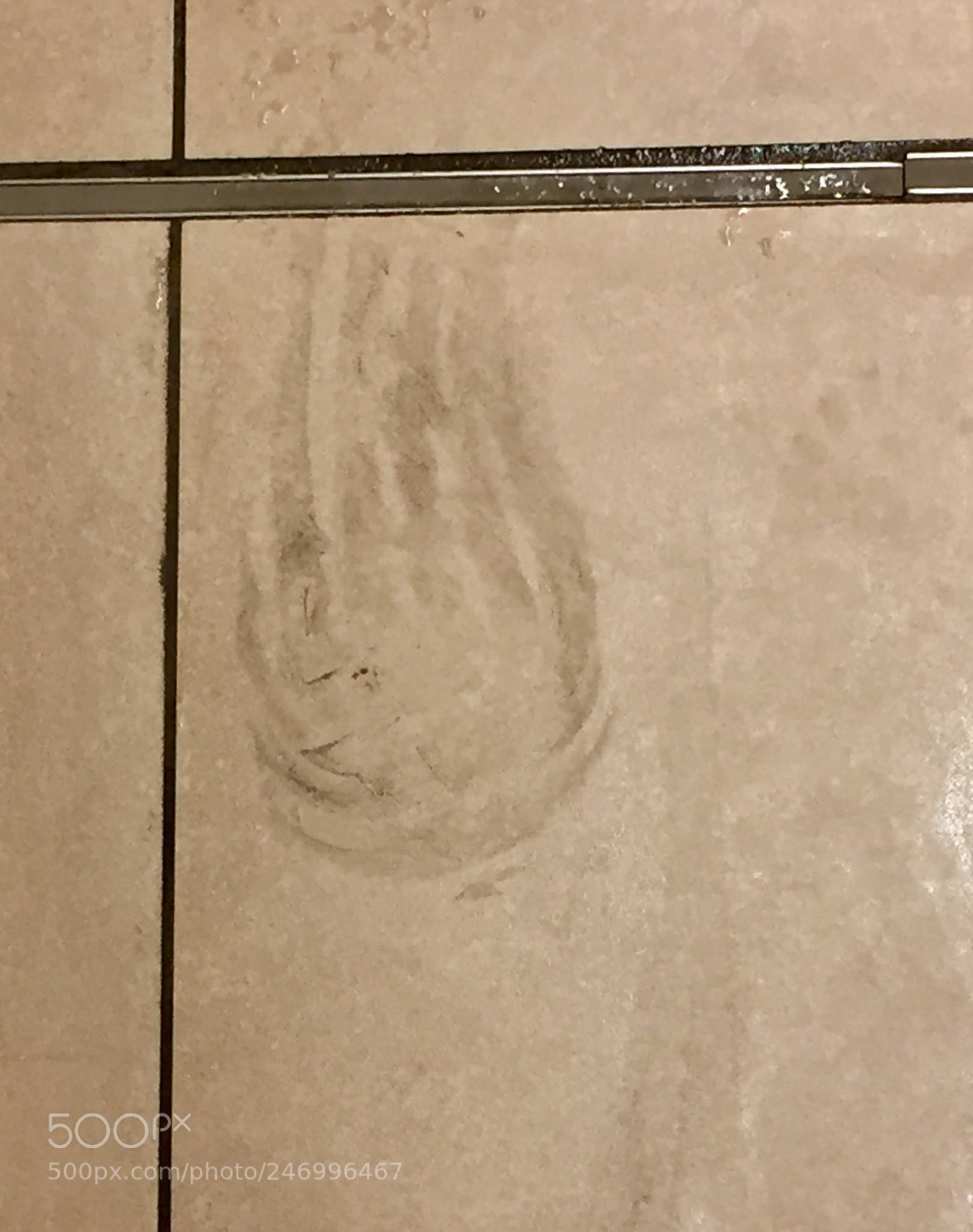 Apple iPhone 6 sample photo. Very strange footprint in photography