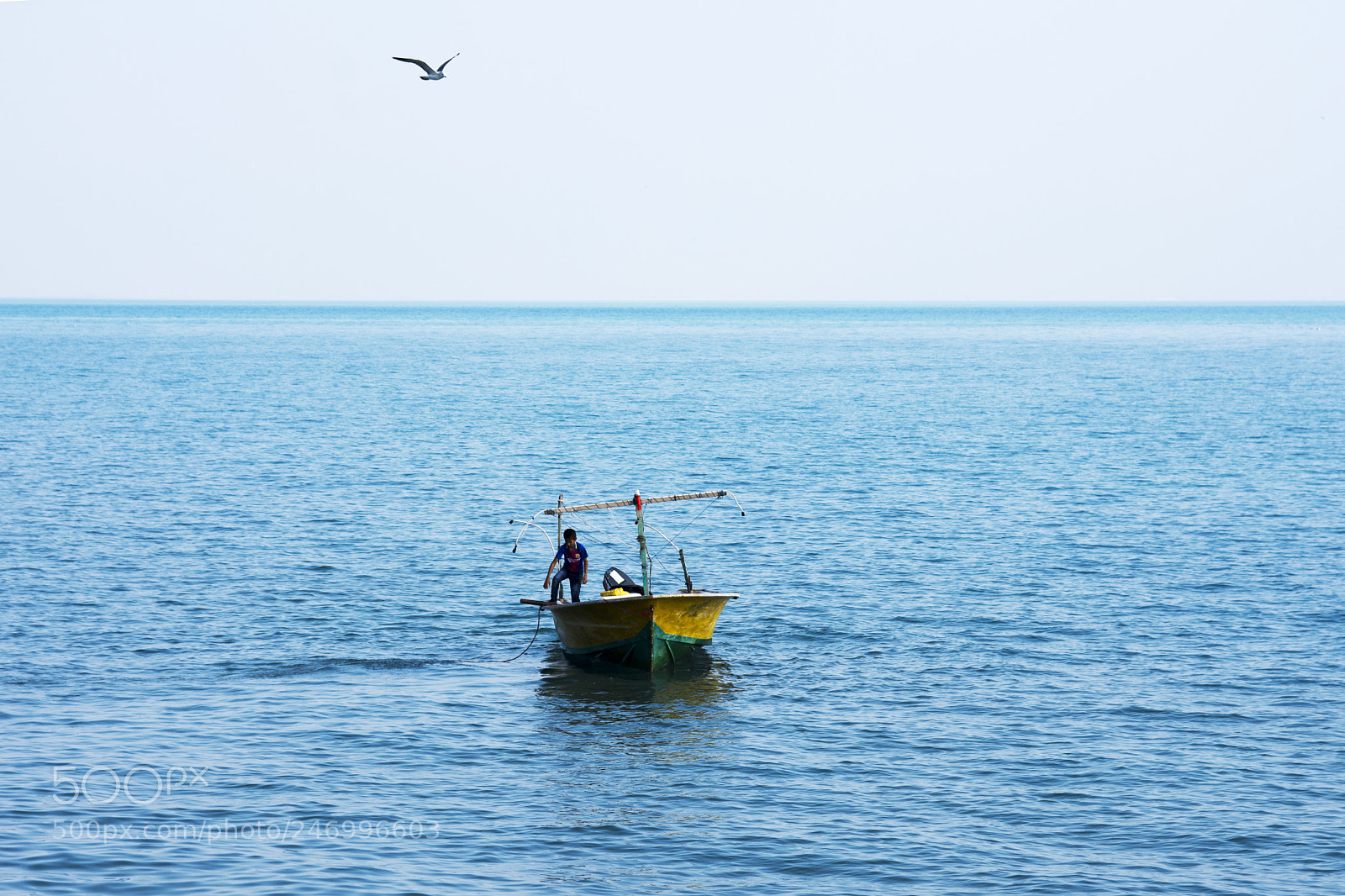 Nikon D7200 sample photo. Fisher boy photography