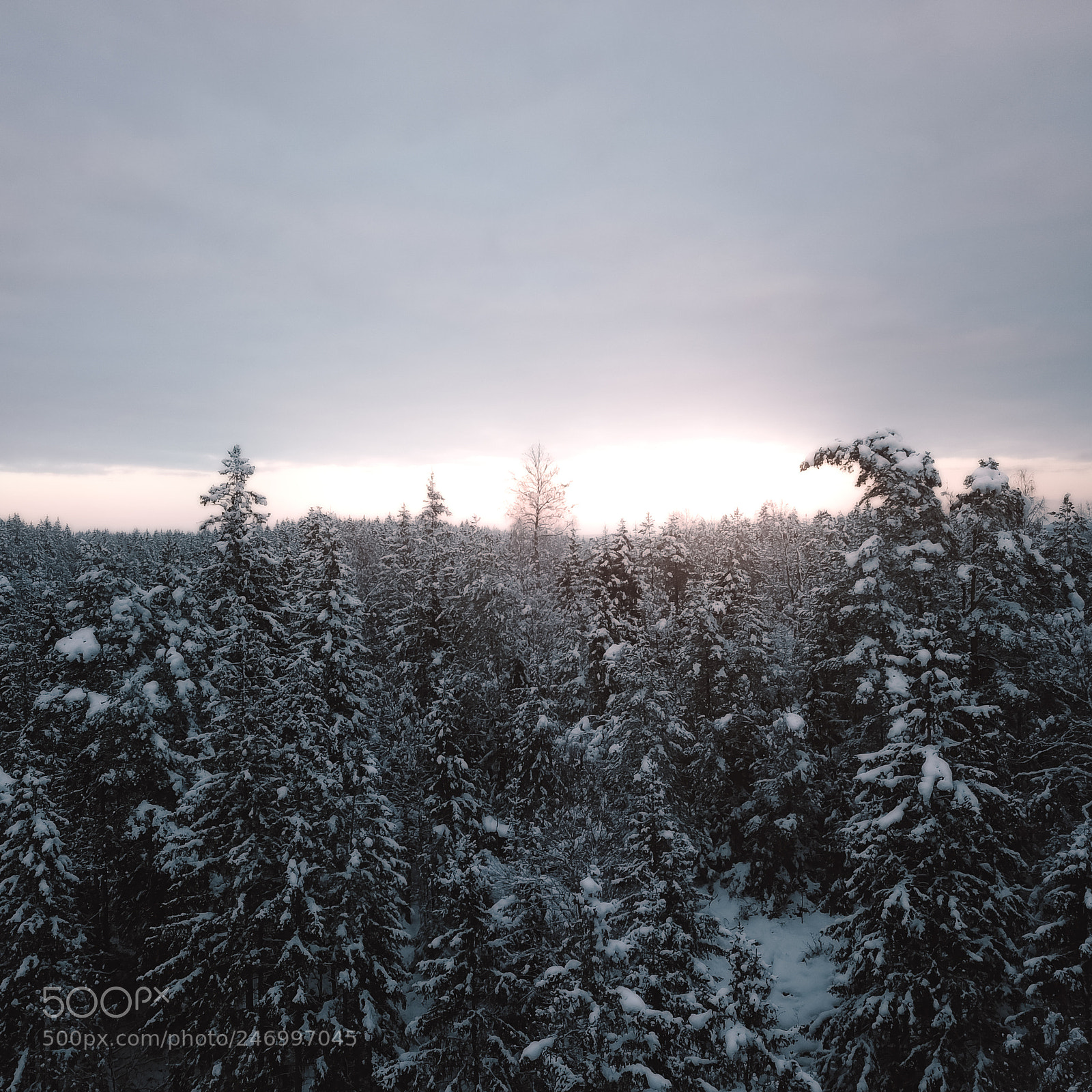 DJI FC220 sample photo. Untitled photography