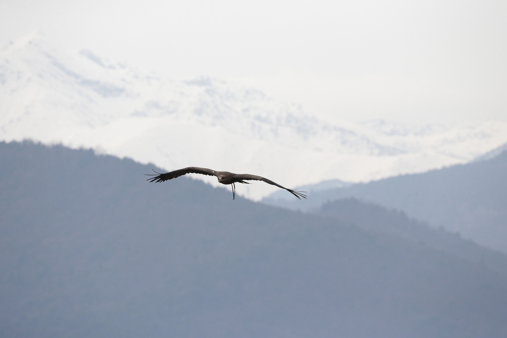 Canon EOS-1D X sample photo