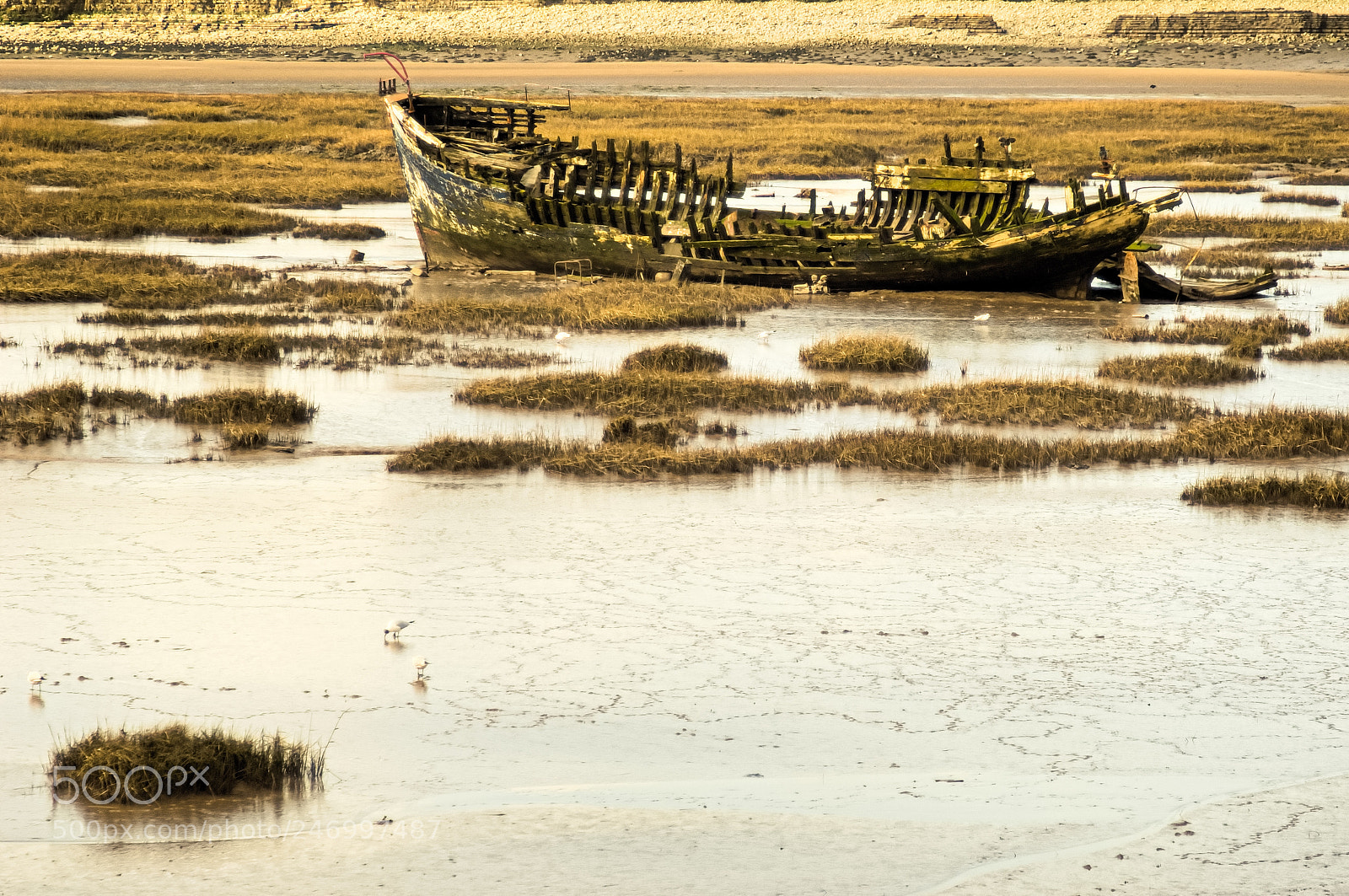 Nikon D2X sample photo. Wreck photography