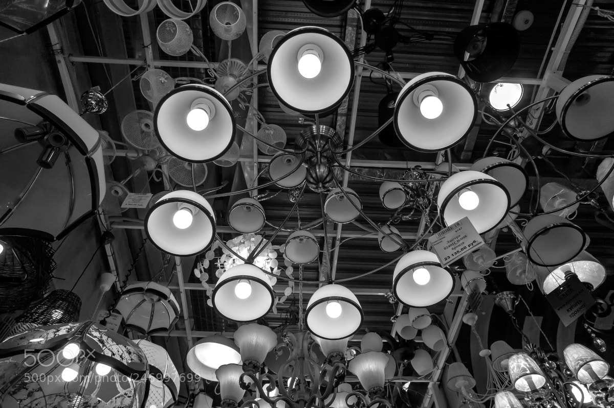 Sony Alpha NEX-5 sample photo. 23135 photography