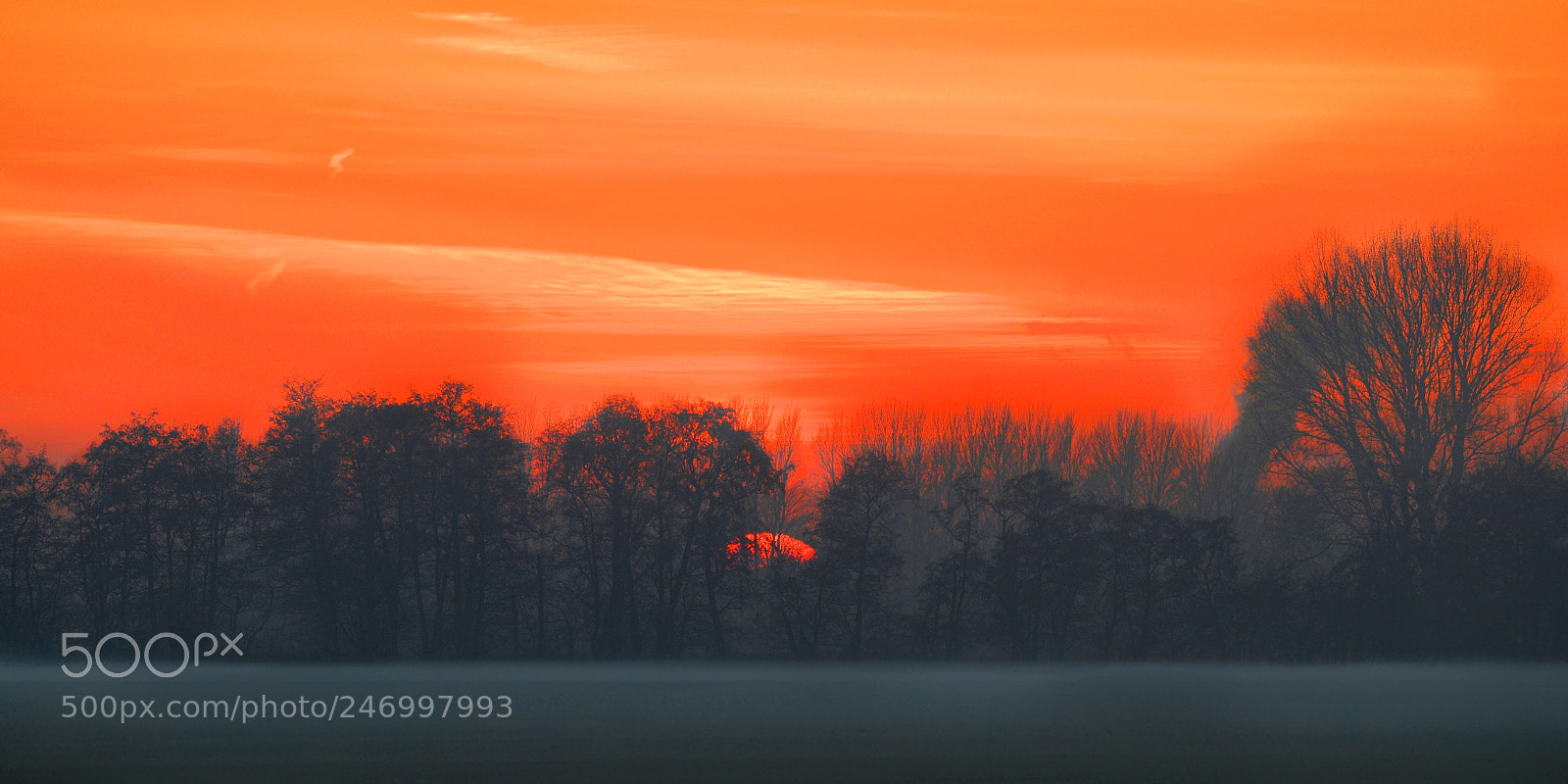 Nikon D800 sample photo. Sunset in winter photography