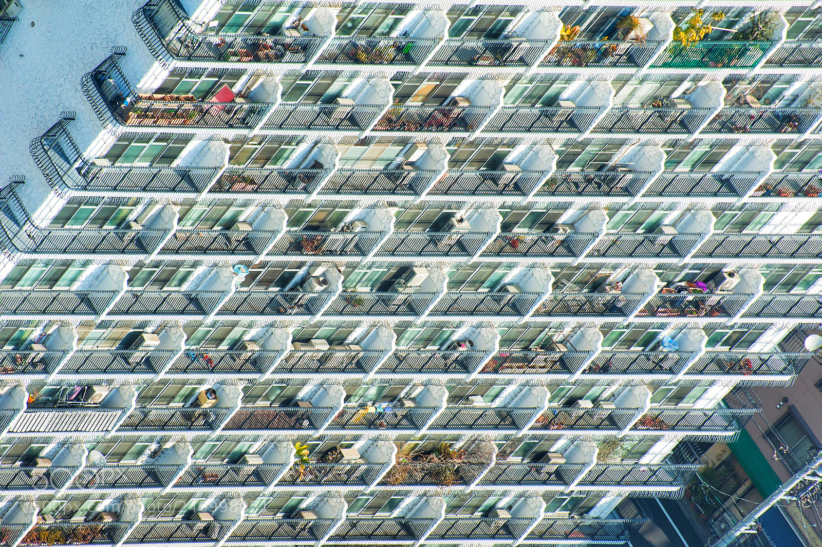 Nikon D700 sample photo. 無數個故事 photography
