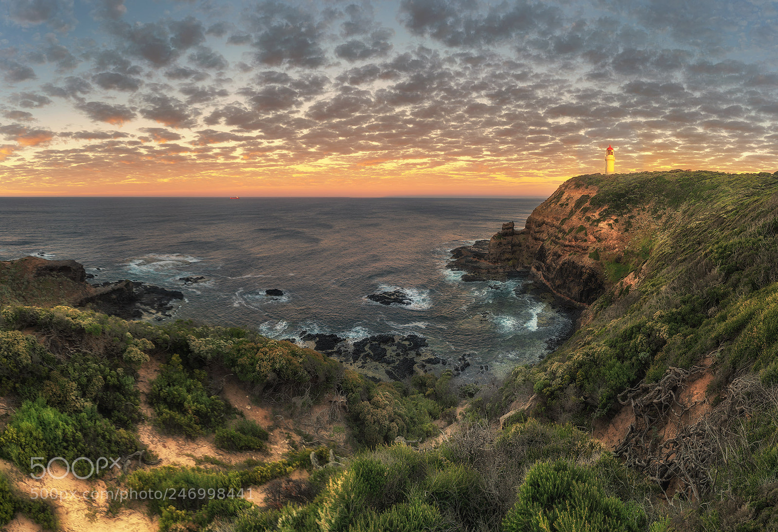 Sony a7R II sample photo. Cape schanck photography