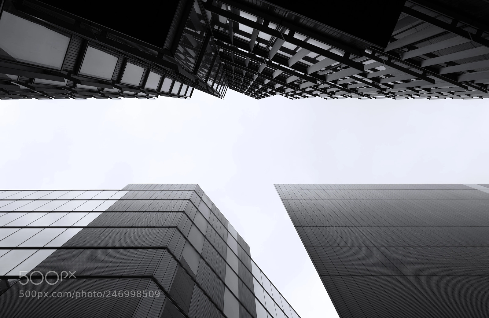 Sony a7R II sample photo. C r o s photography