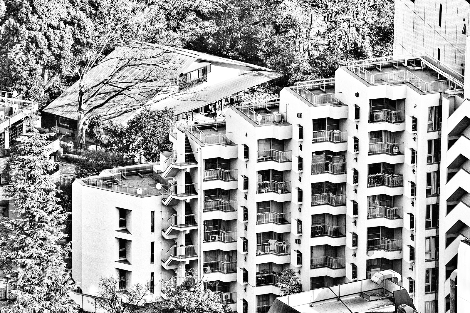 Nikon D700 sample photo. Untitled photography