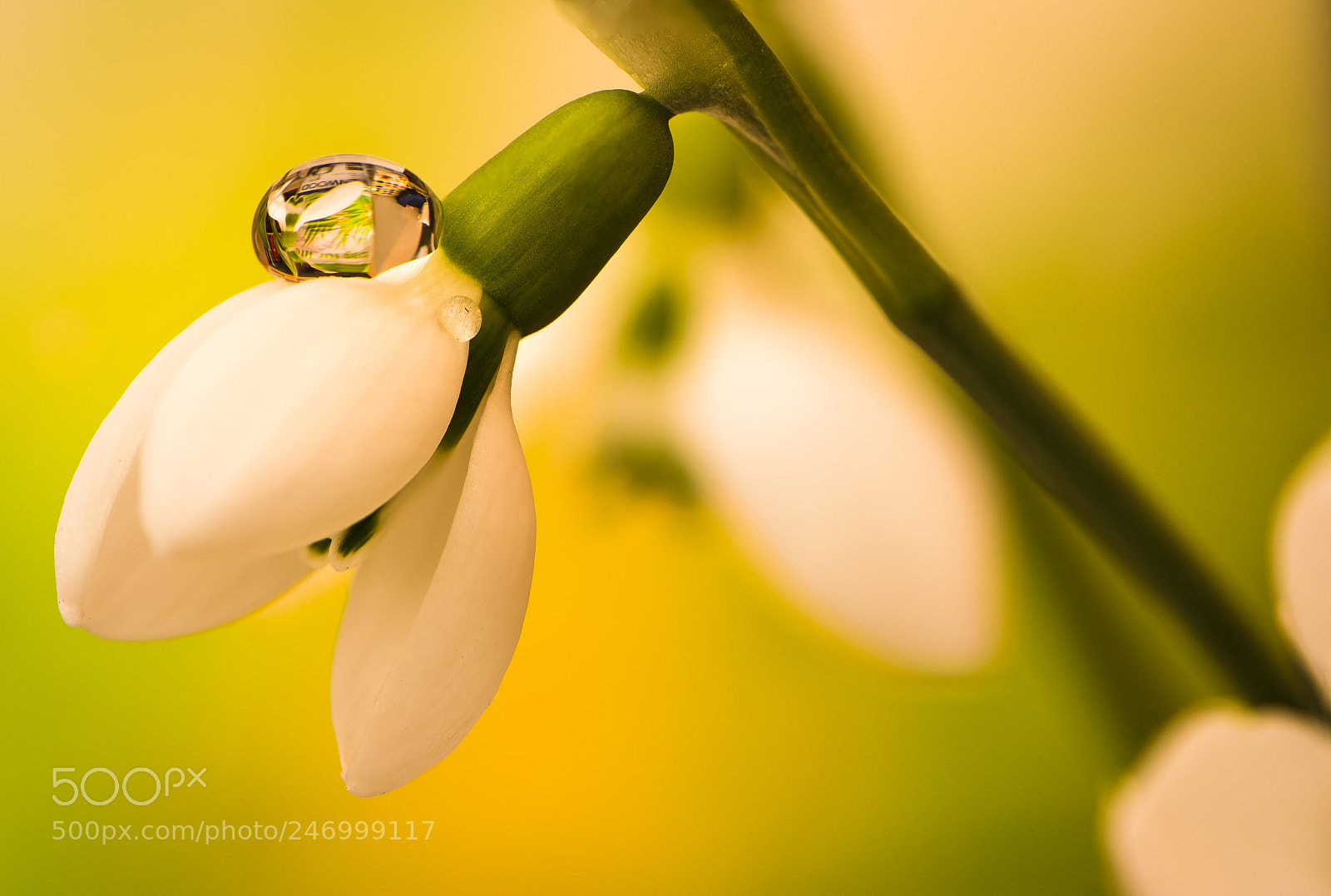 Nikon D7100 sample photo. Water drop on a photography
