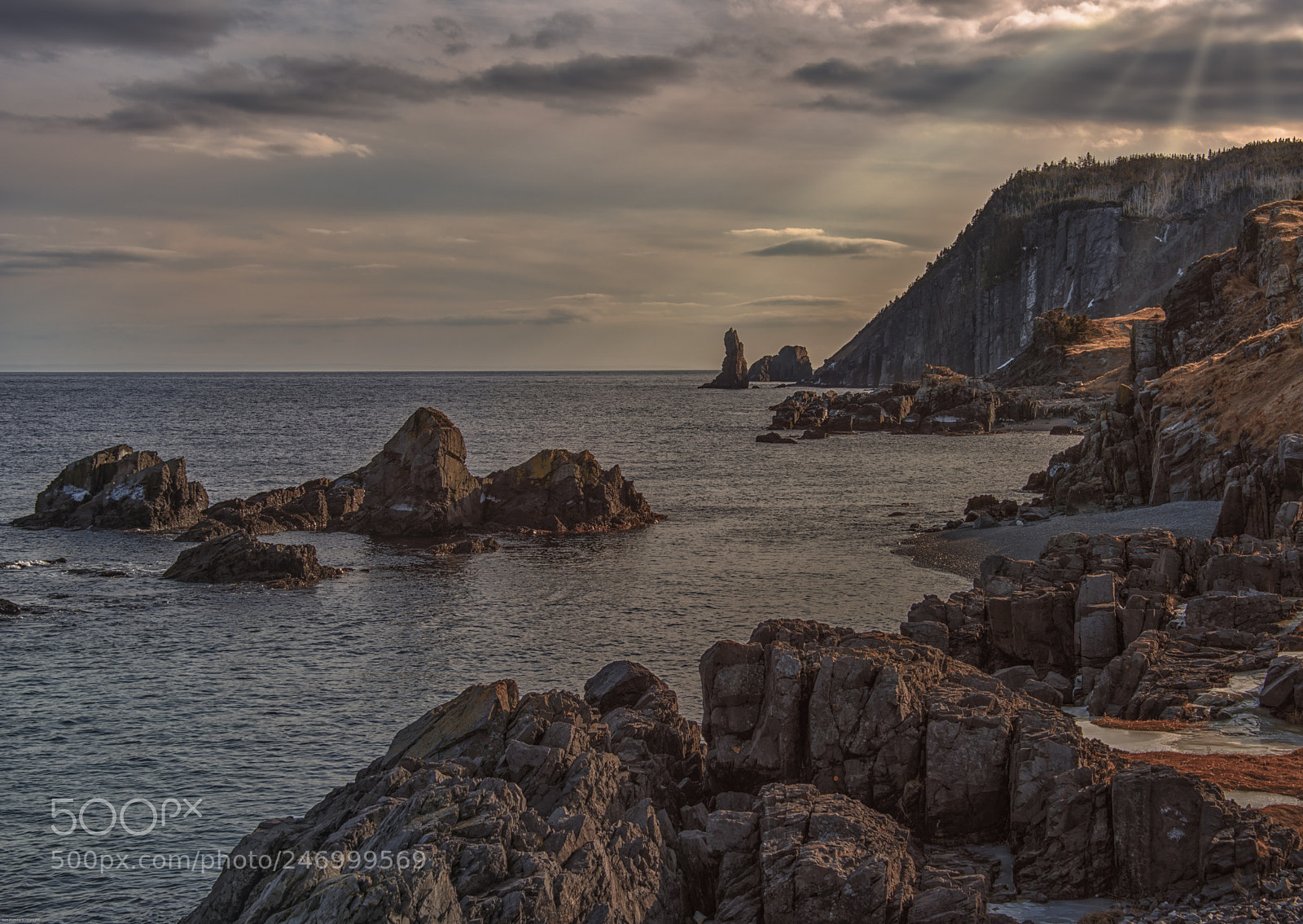 Nikon D800 sample photo. Sea stacks photography