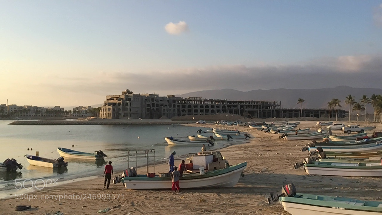 Apple iPhone 6 sample photo. Fishing harbor photography