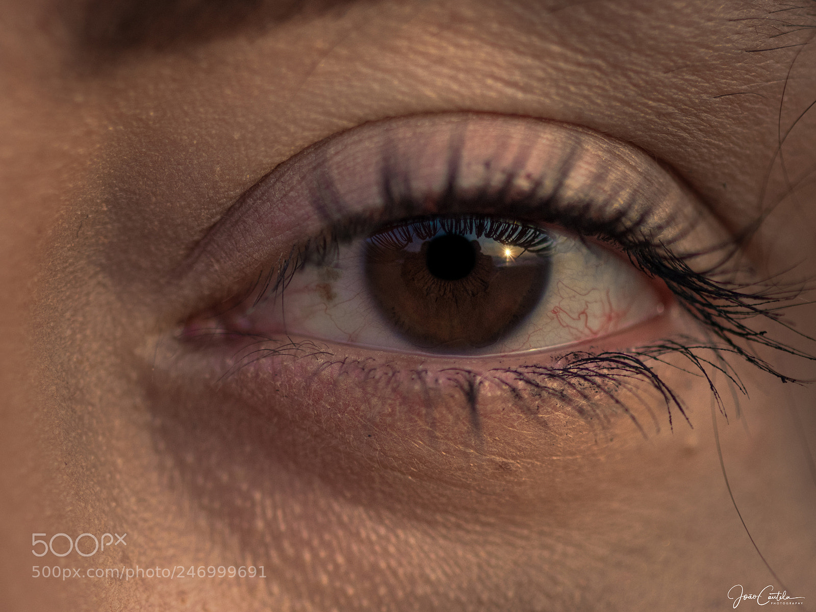 Nikon D850 sample photo. Sofia lourenço photography