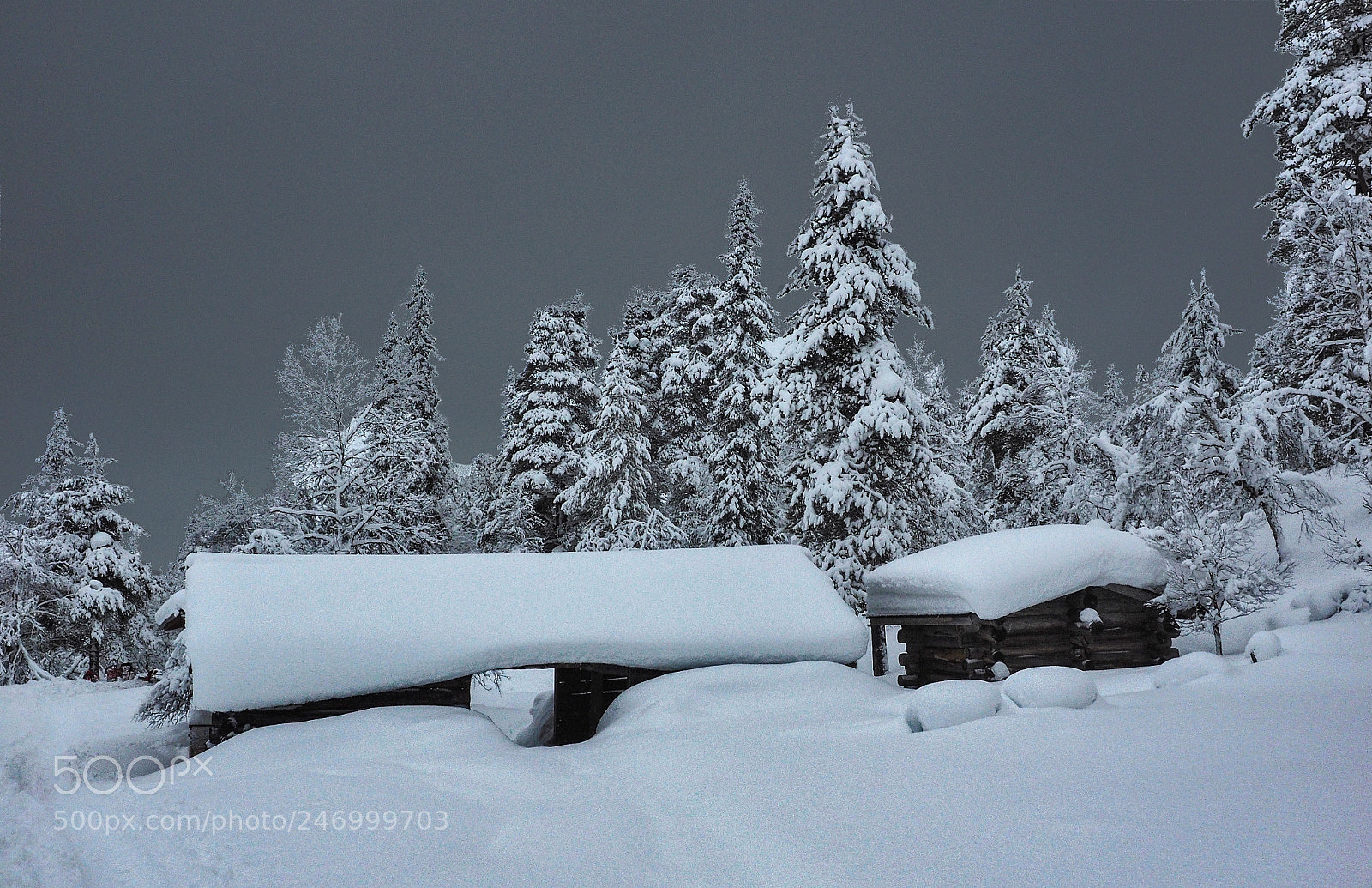 Olympus OM-D E-M1 sample photo. Winterwonderlan in lapland photography