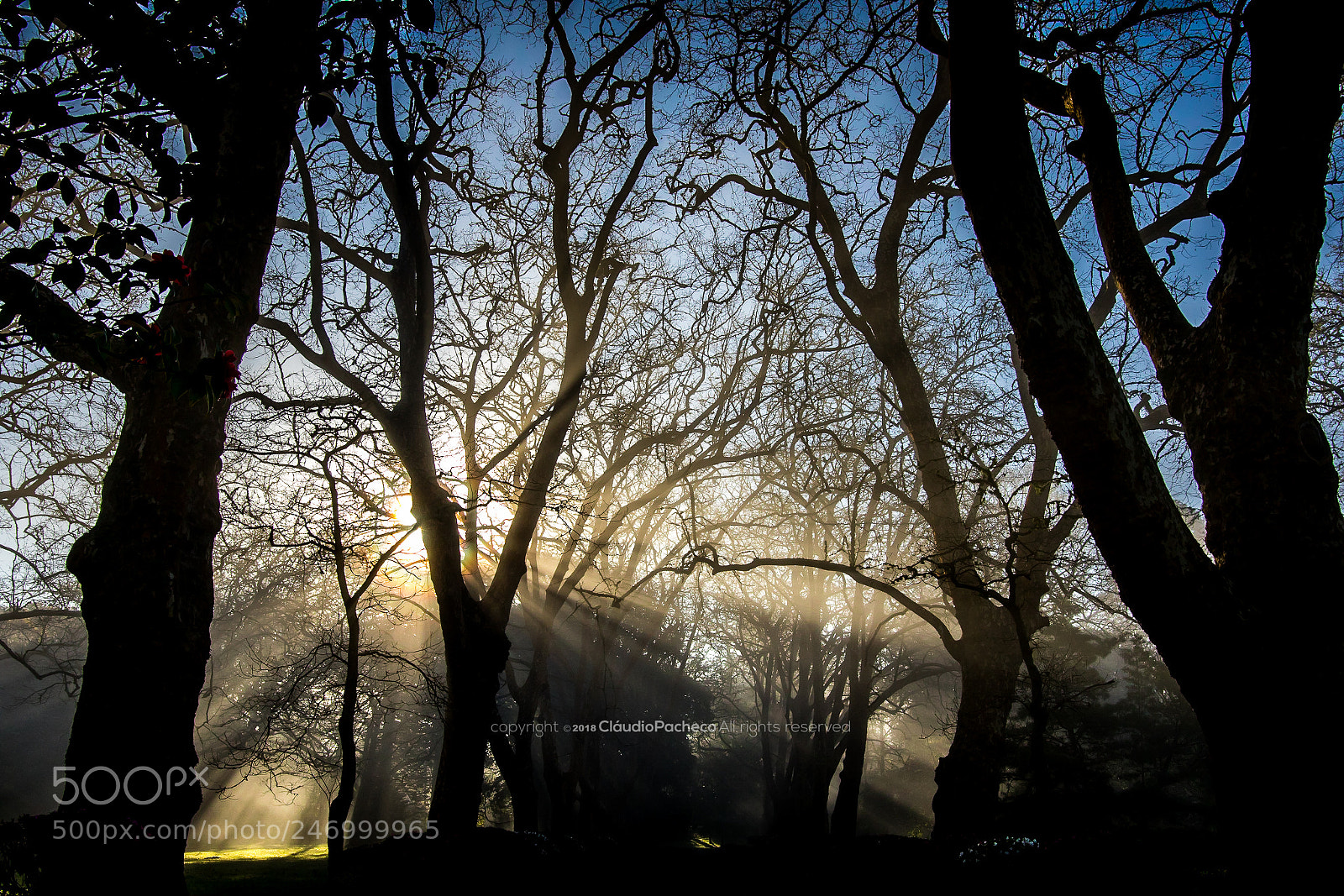 Canon EOS 7D Mark II sample photo. Sun in the morning photography