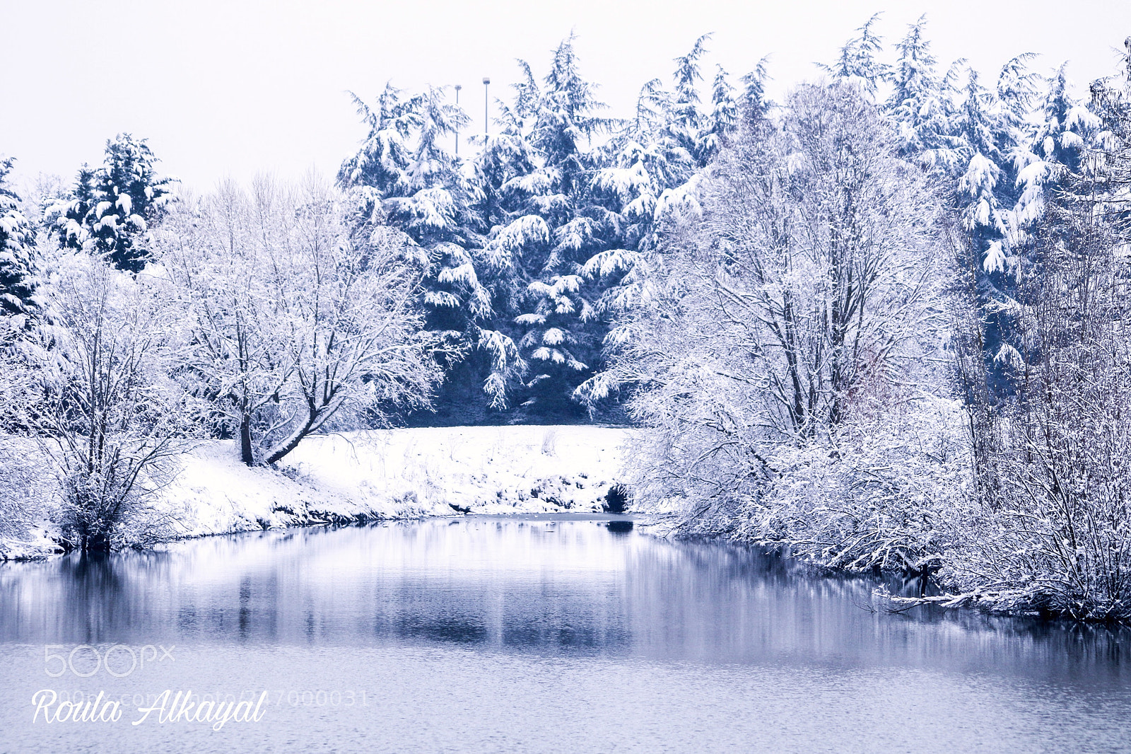 Canon EOS 7D Mark II sample photo. Snow photography