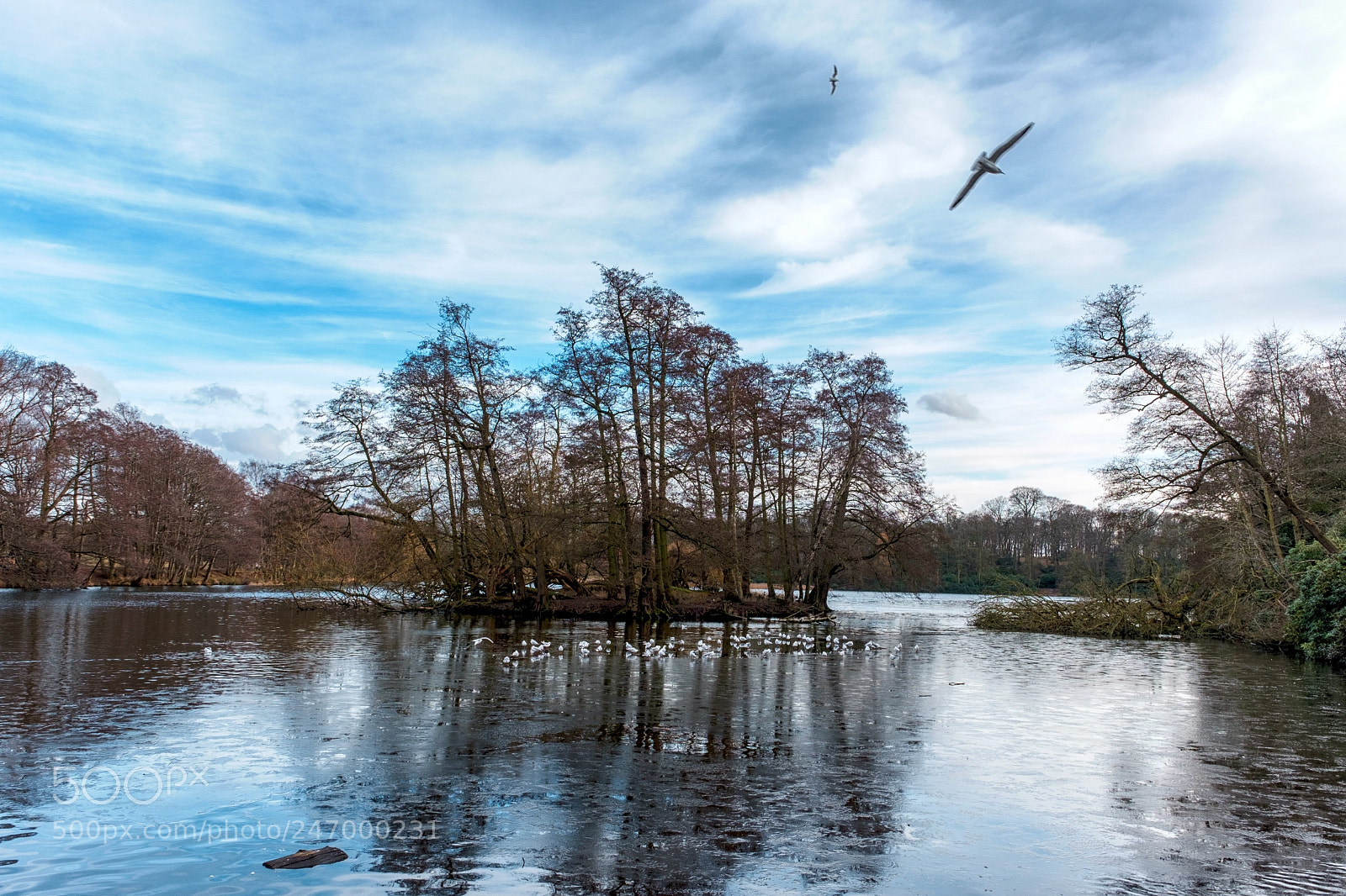 Fujifilm X-T2 sample photo. Wollaton park photography