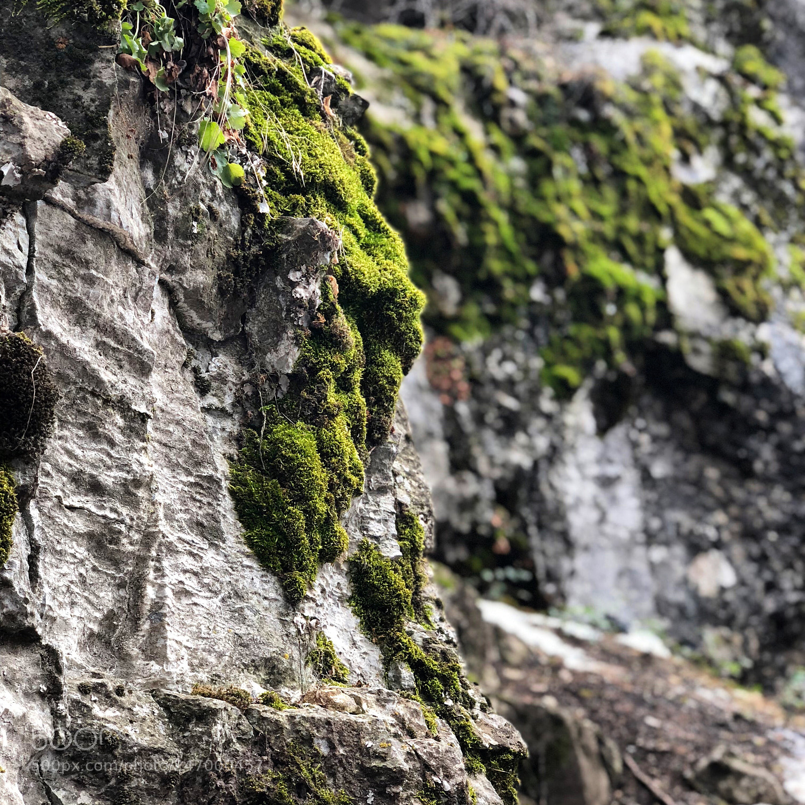 Apple iPhone X sample photo. There is always a photography