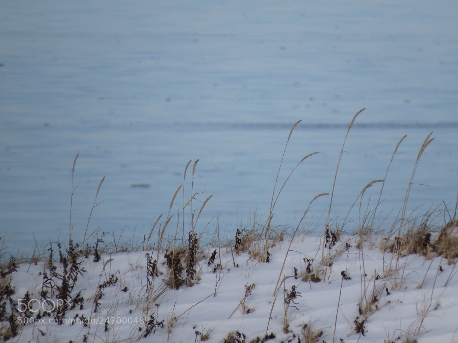 Canon PowerShot SX50 HS sample photo. Winter shoreline photography