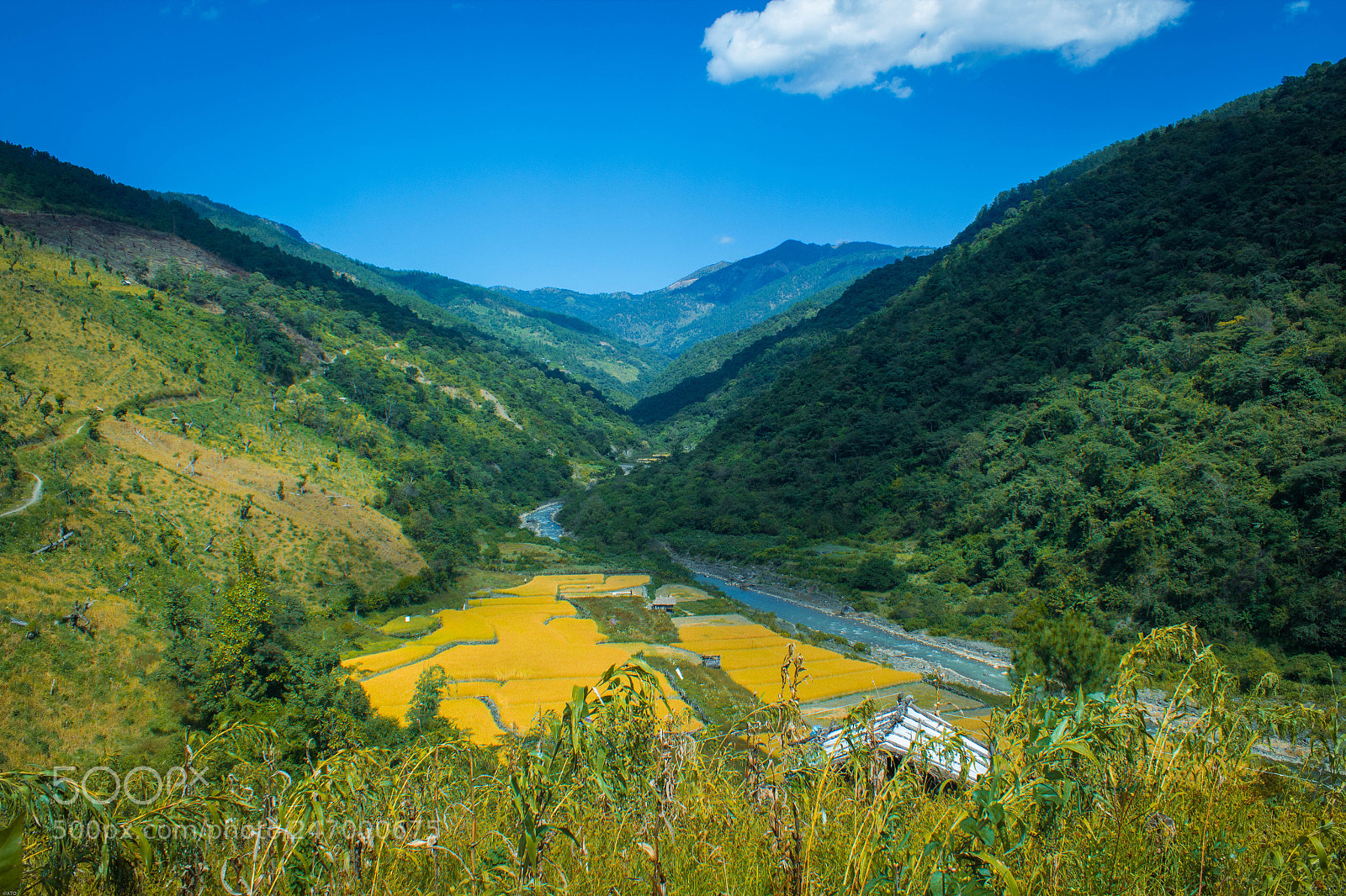 Canon EOS 600D (Rebel EOS T3i / EOS Kiss X5) sample photo. Field beneath hill photography