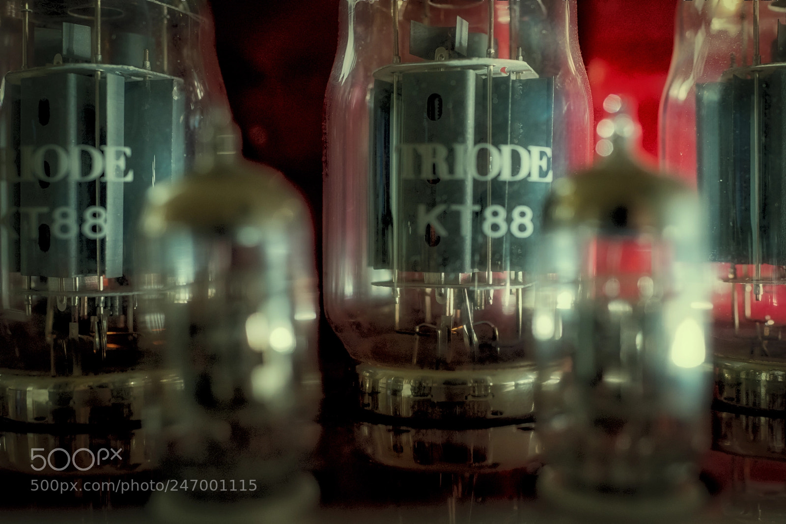Sony Cyber-shot DSC-RX1R II sample photo. Triode photography