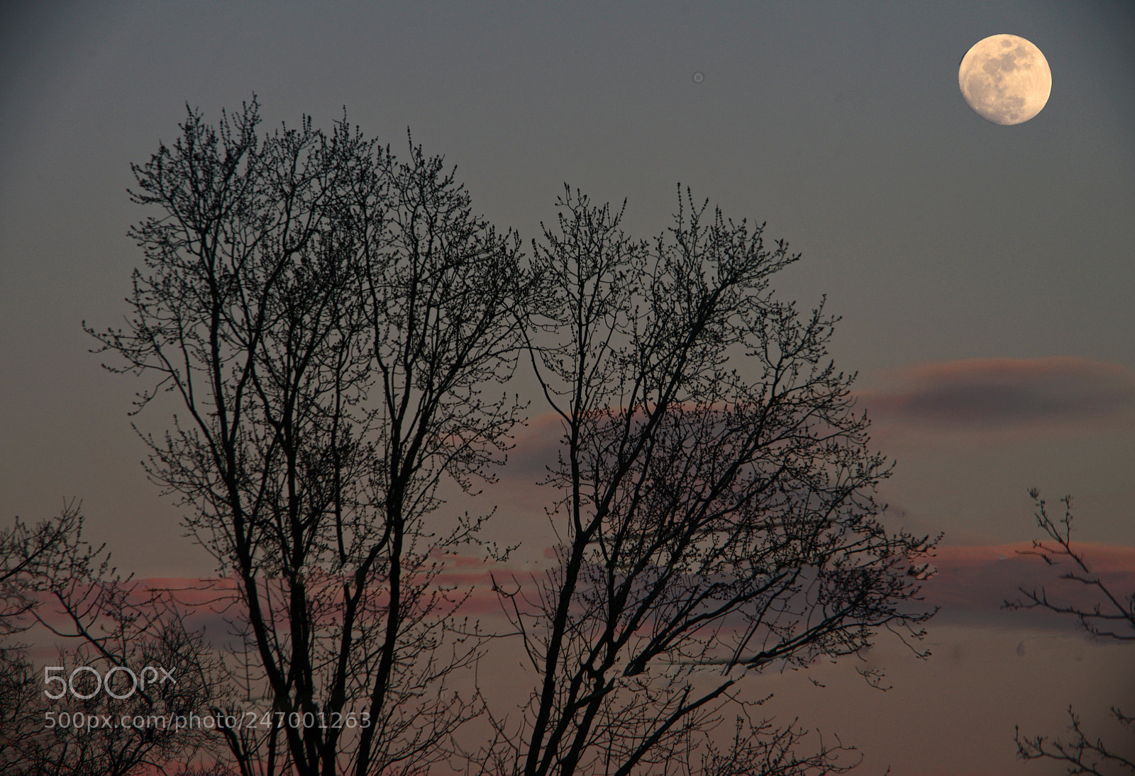 Nikon D800 sample photo. Natural world photography
