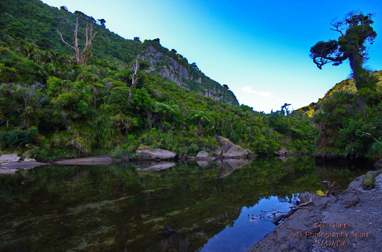 Pentax K-5 IIs sample photo. Paparoa national park n. z. photography