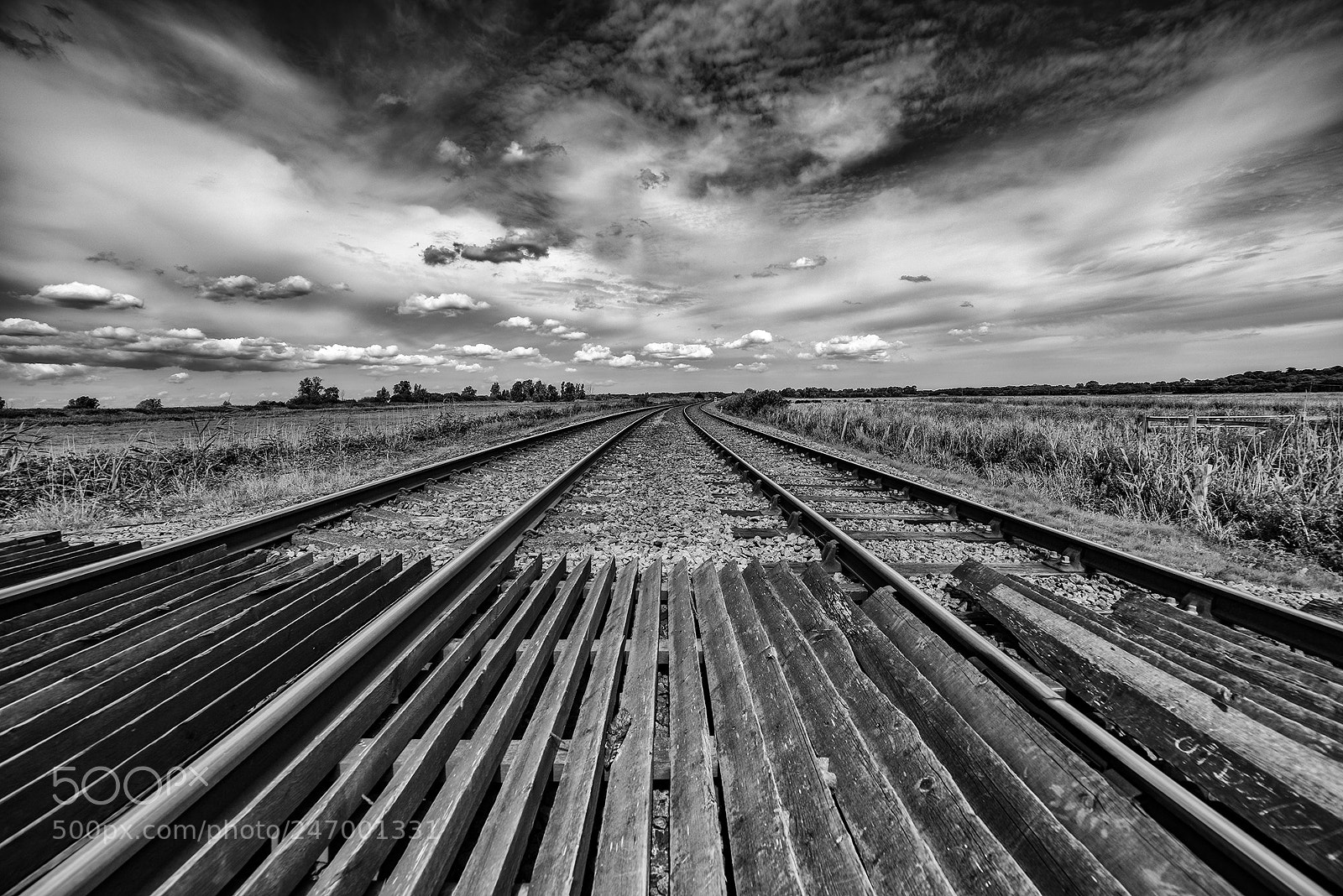 Nikon D810 sample photo. Off the rails photography