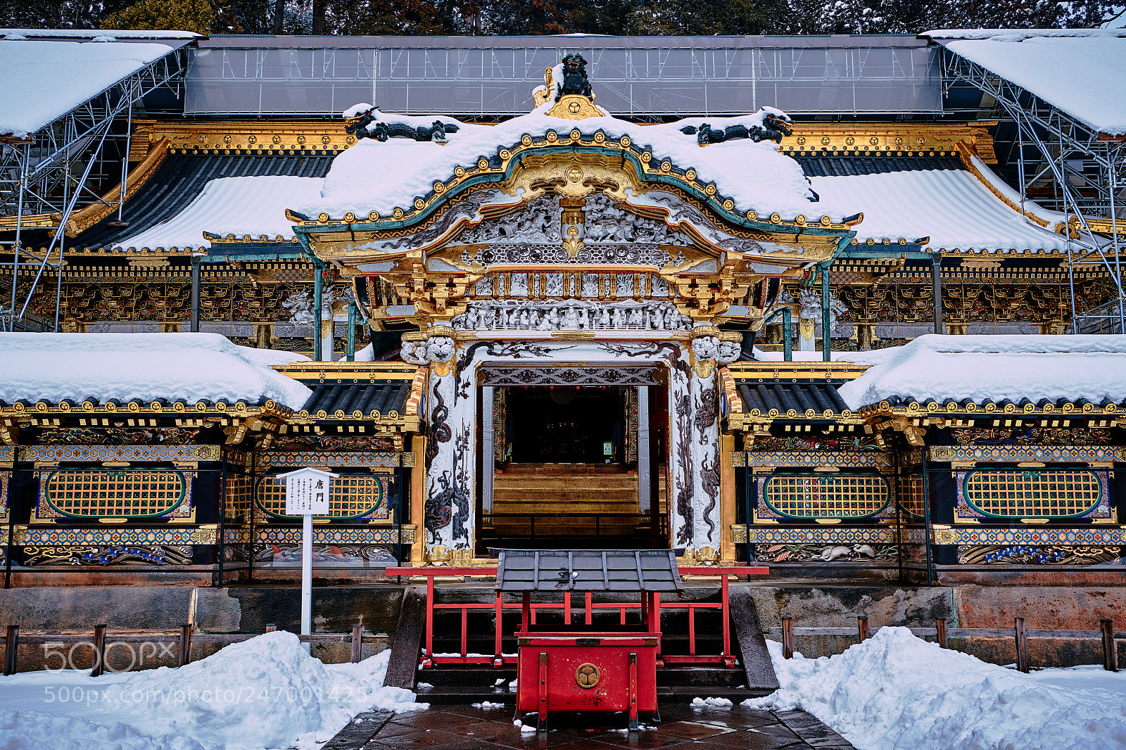 Nikon D850 sample photo. Karamon photography
