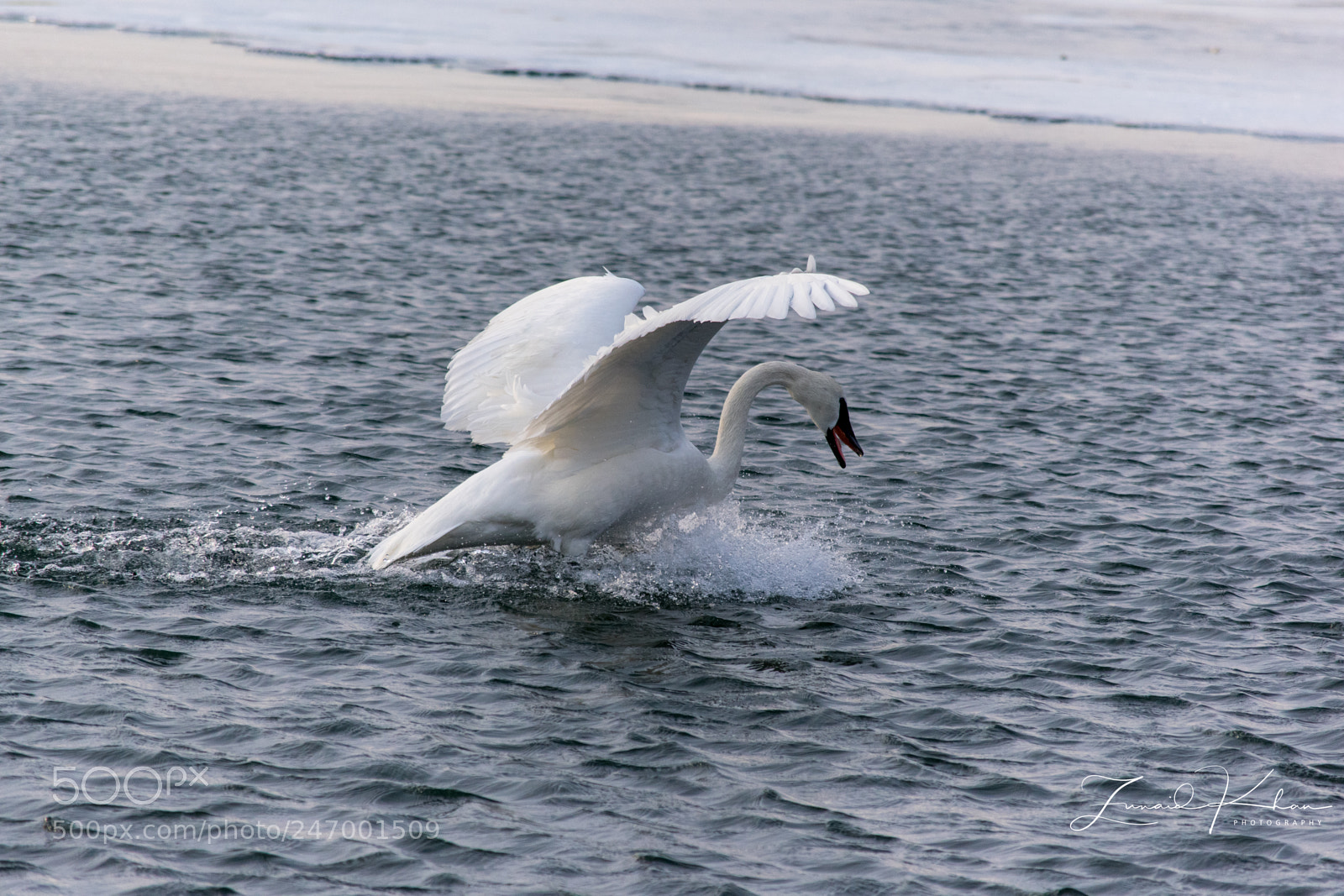 Nikon D3400 sample photo. Landing photography