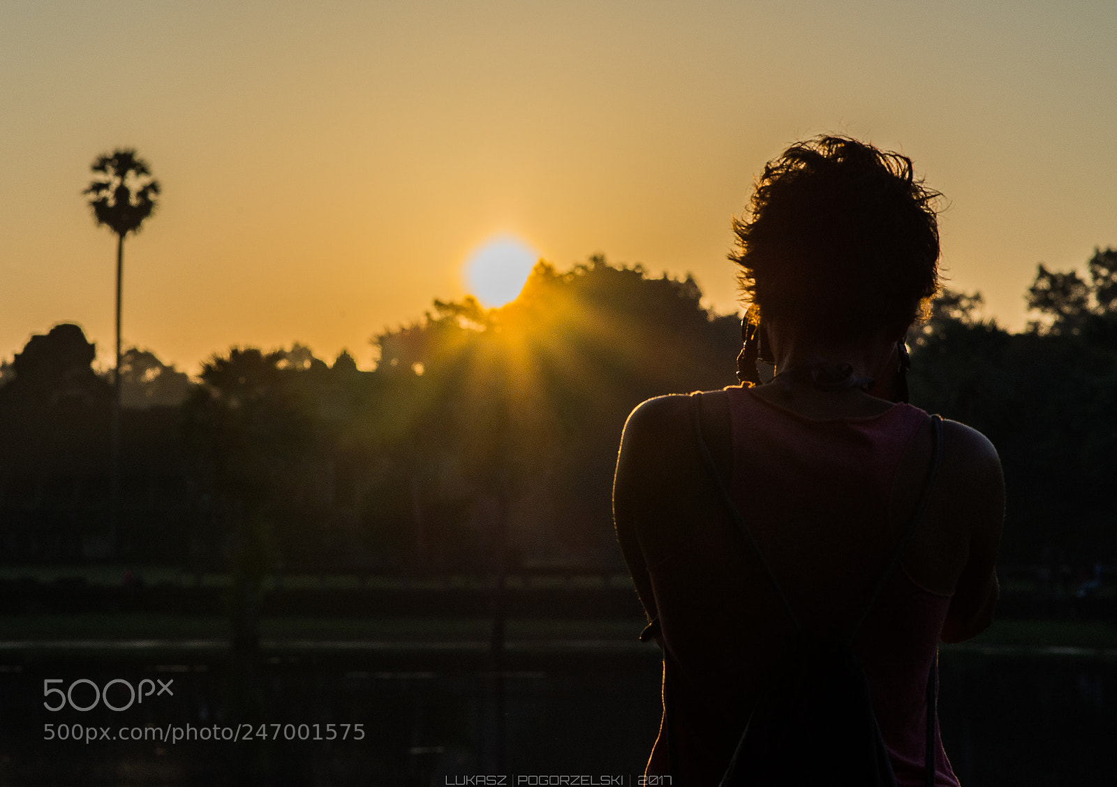 Nikon D610 sample photo. Angkor wat photography