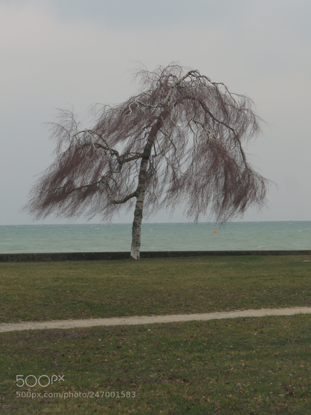 Canon PowerShot SX730 HS sample photo. Jour de bise bord photography