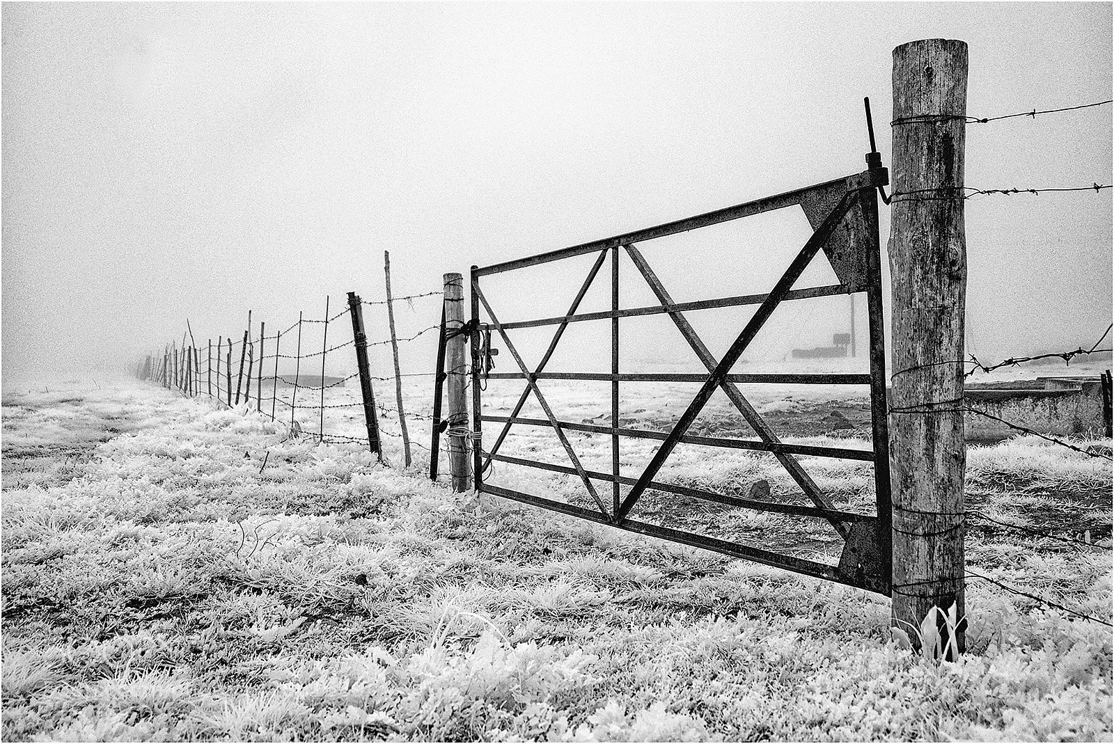 Fujifilm X-M1 sample photo. The fence photography
