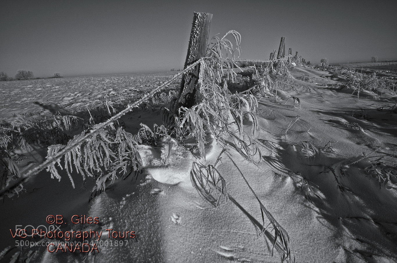 Pentax K-5 IIs sample photo. Winter frost photography