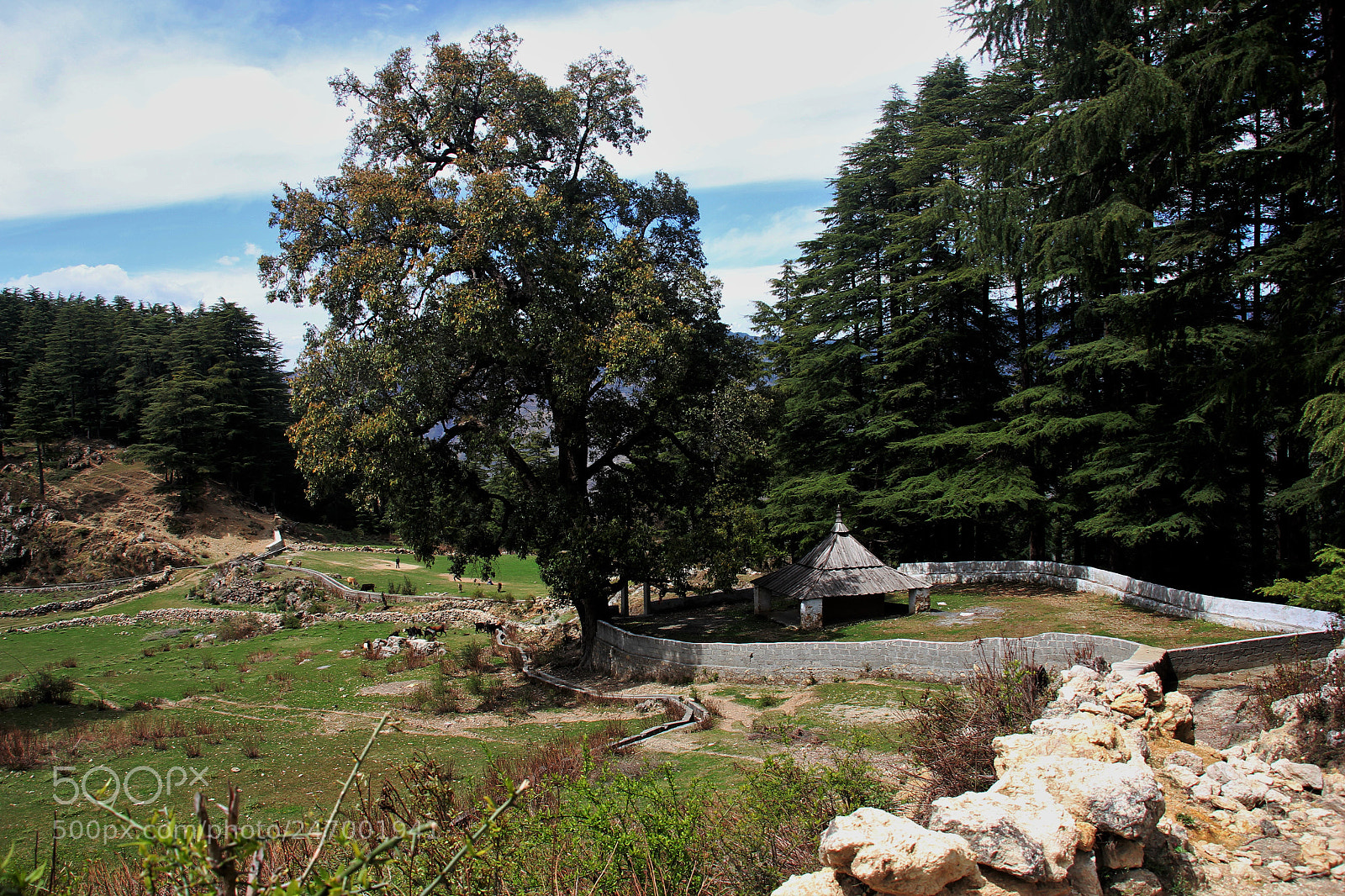 Canon EOS 550D (EOS Rebel T2i / EOS Kiss X4) sample photo. Village temple photography