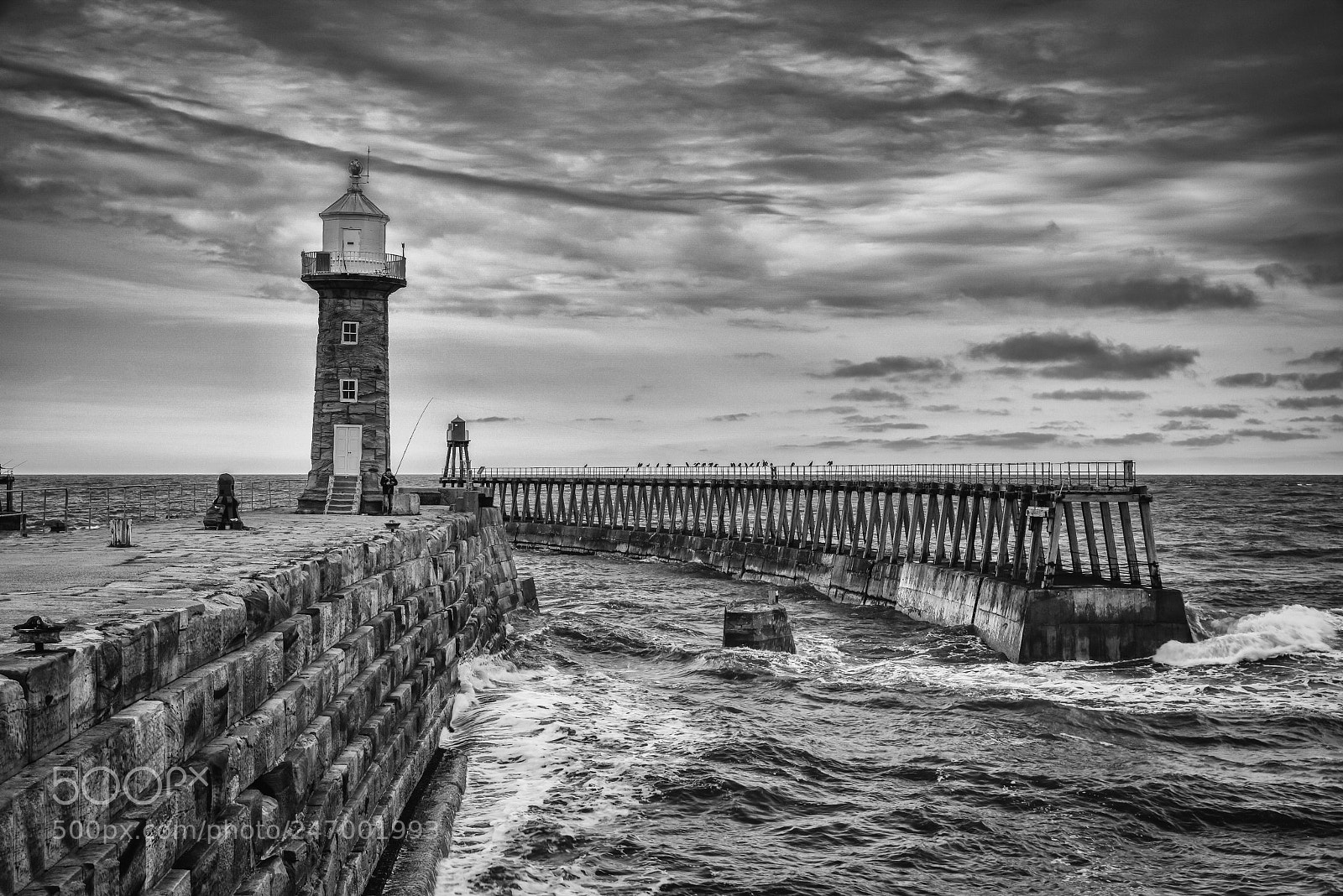 Nikon D810 sample photo. Whitby photography