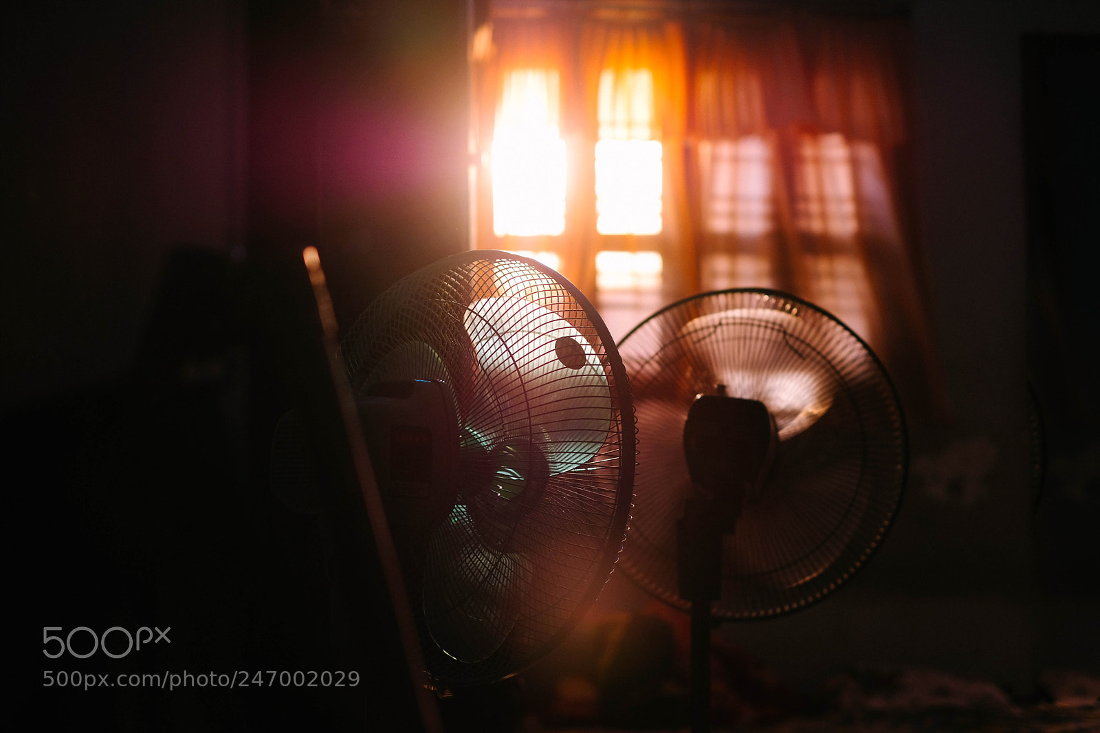 Fujifilm X-T2 sample photo. Summer photography