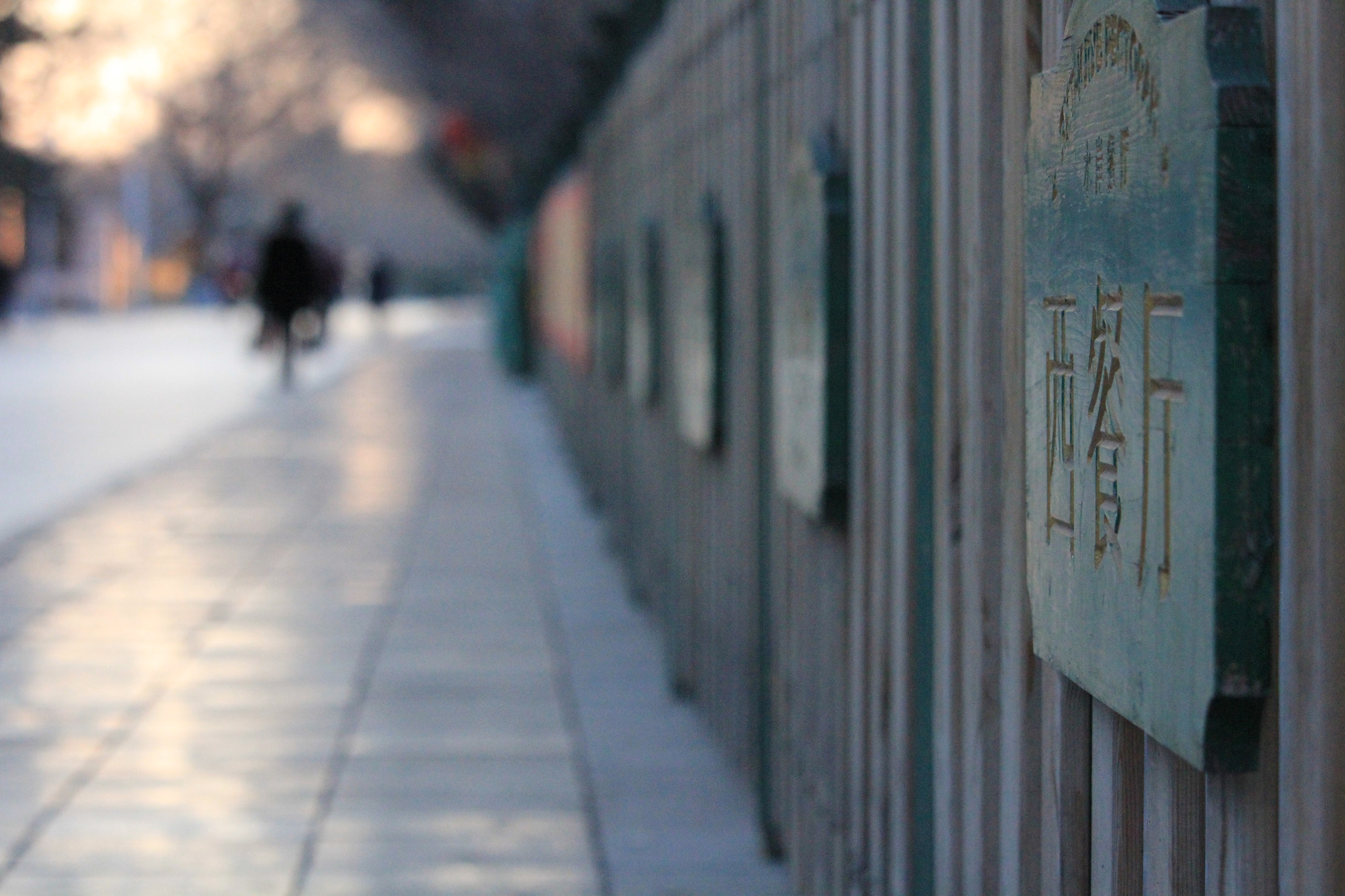 Canon EF-S 55-250mm F4-5.6 IS STM sample photo. 西餐厅 photography