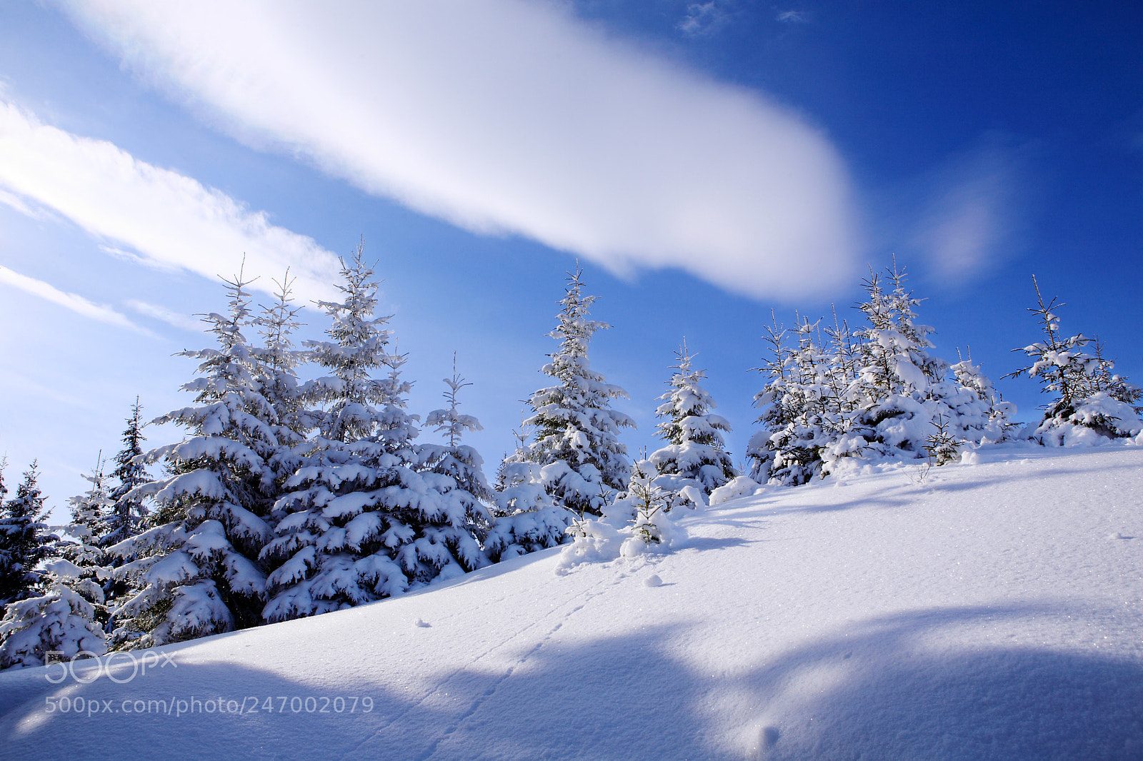 Canon EOS 5D sample photo. Winter in the carpathian photography