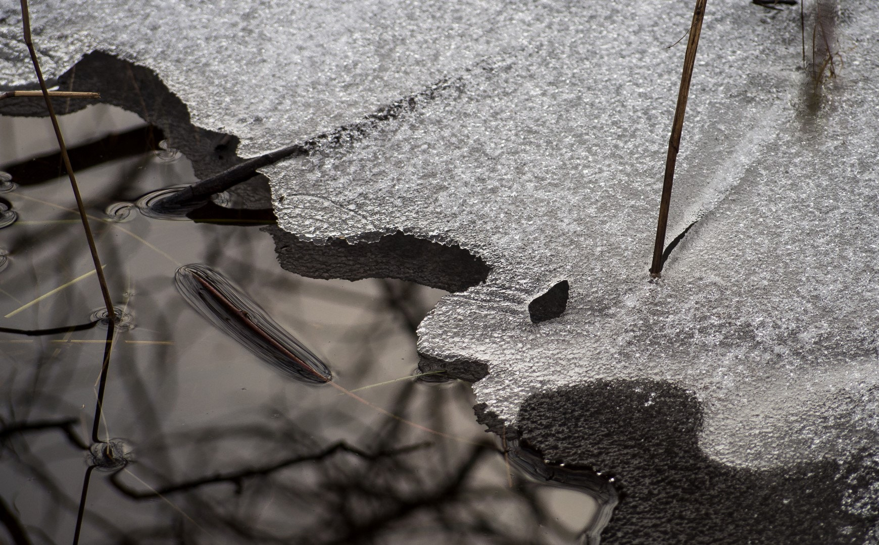 Olympus PEN E-PM2 sample photo. Winter soon ends photography
