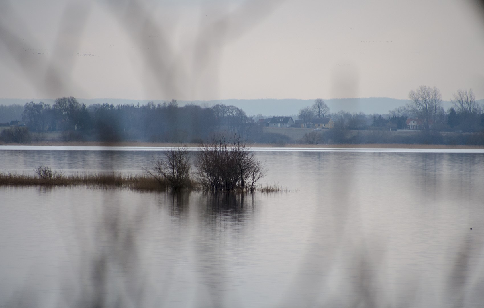 Olympus PEN E-PM2 sample photo. Landskape through a bush photography