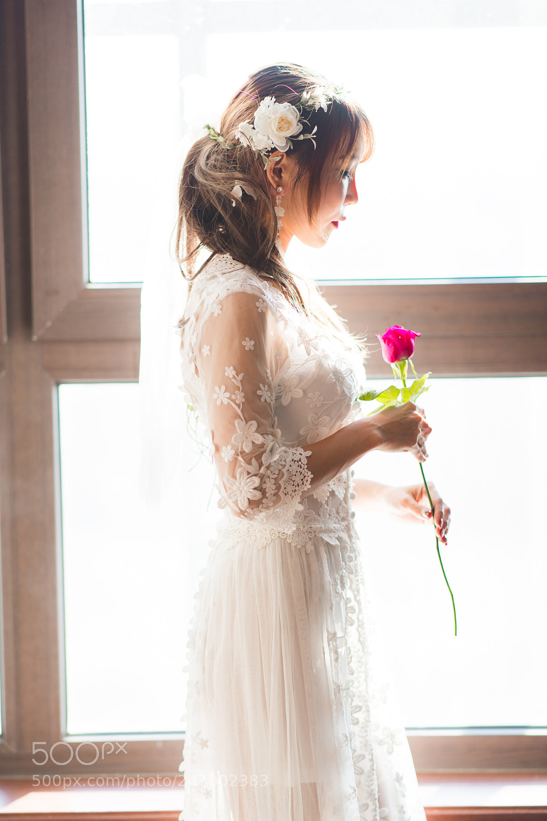 Nikon D850 sample photo. Ray photography